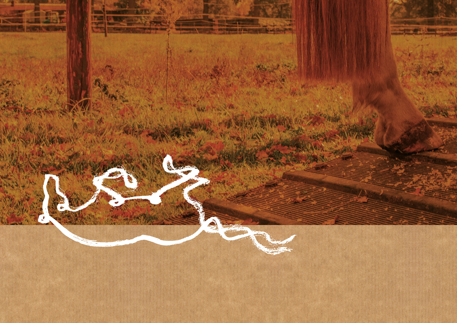 Lehrgangszertifikat hinten