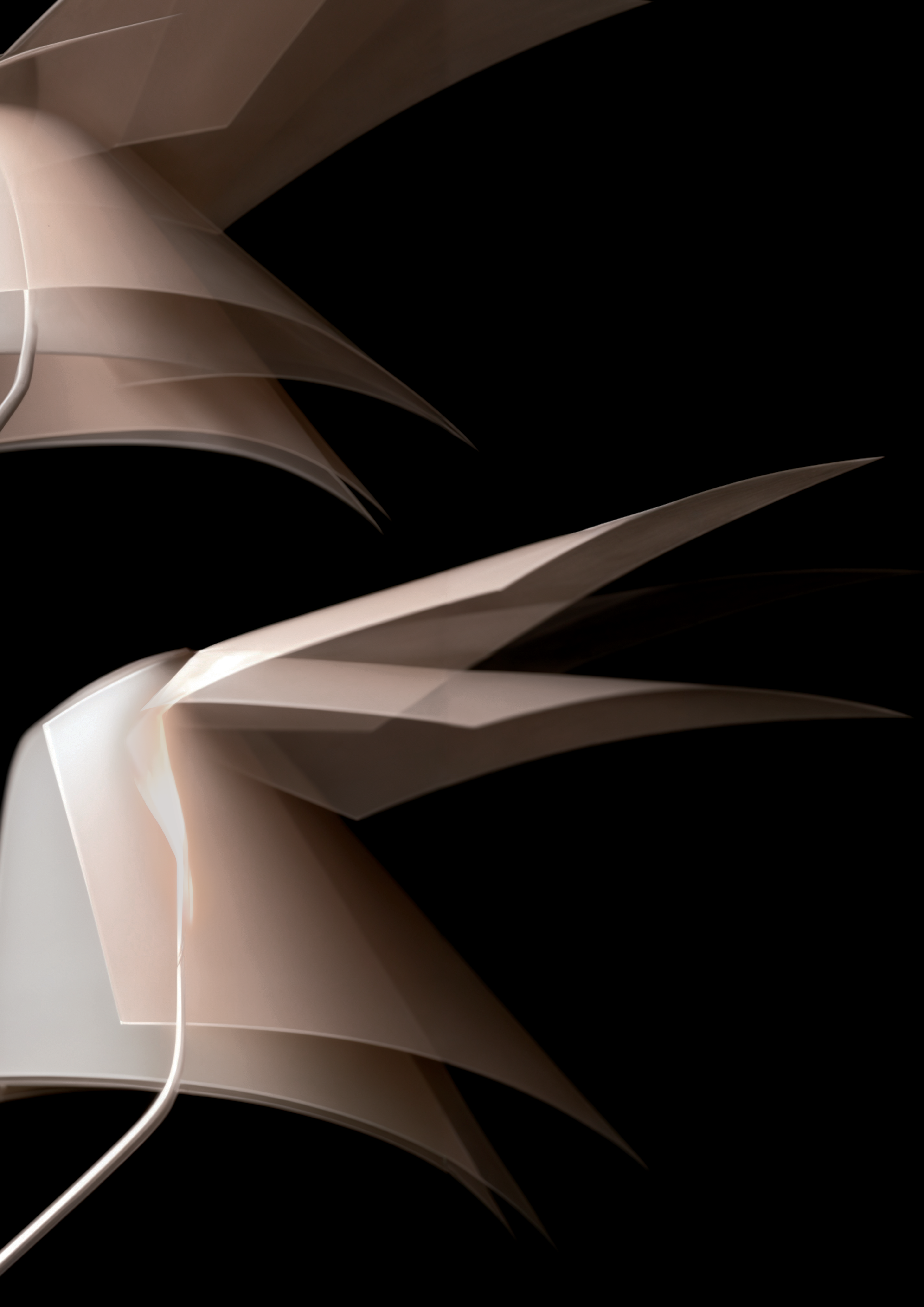 Based on Video Footage and the Exhibit "Doomem" by Ran Peleg Veneer Flowers, A0 Print