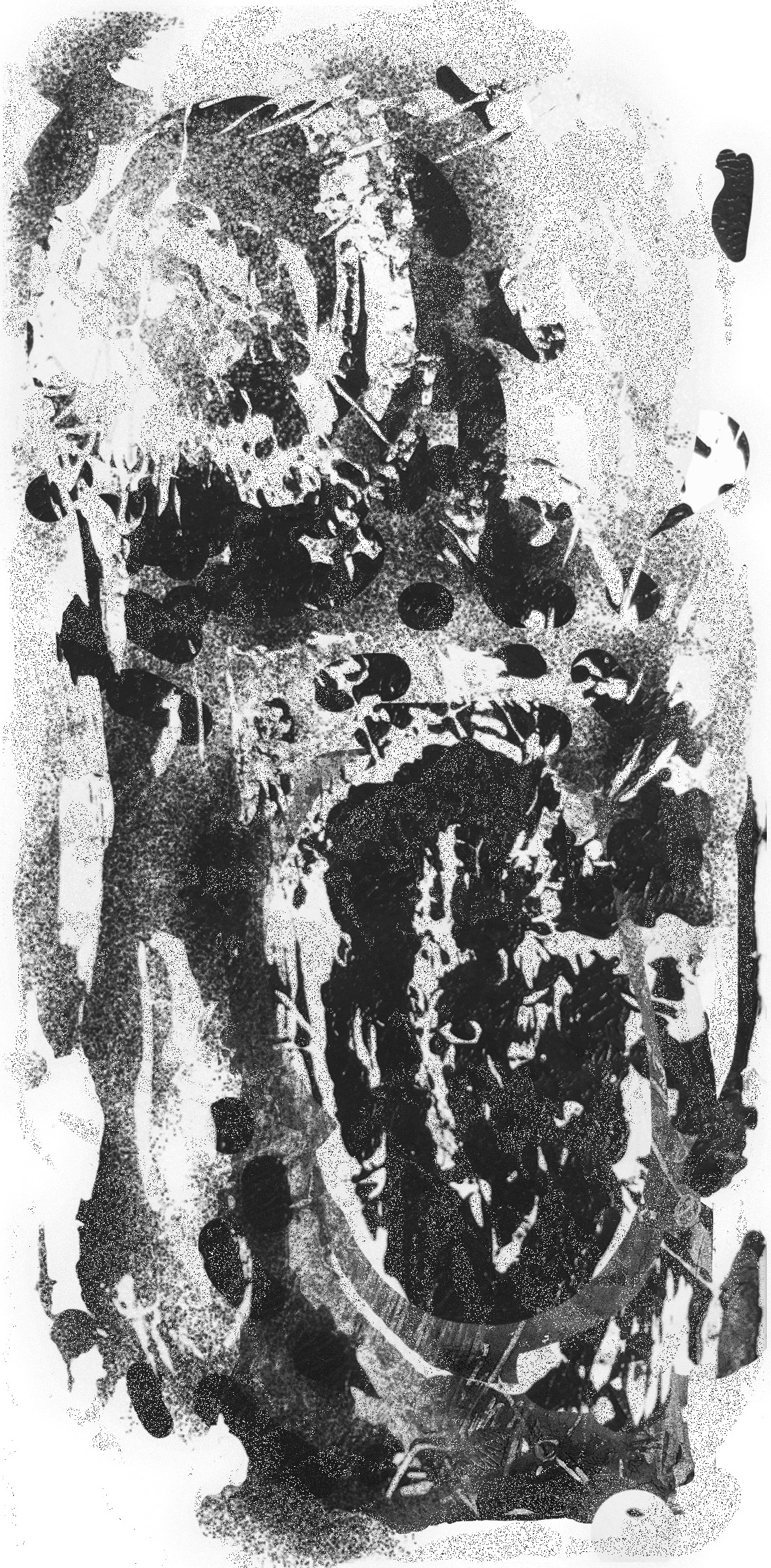 Gray Area
