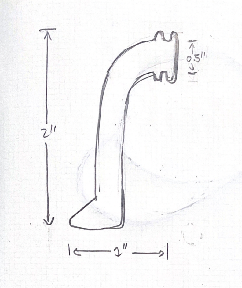 Leg