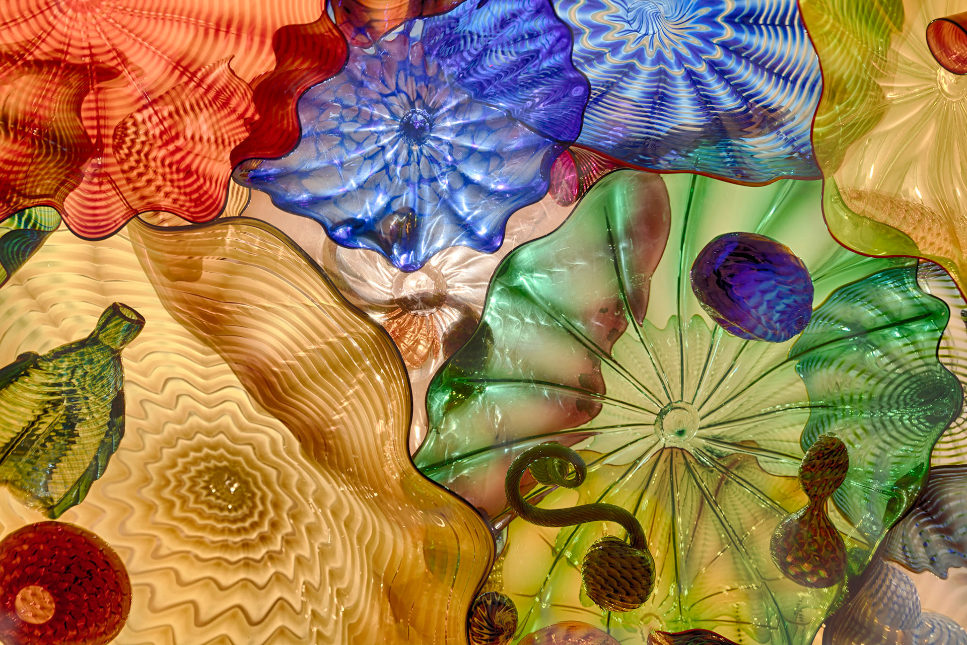 Chihuly Garden and Glass, Seattle, 2022