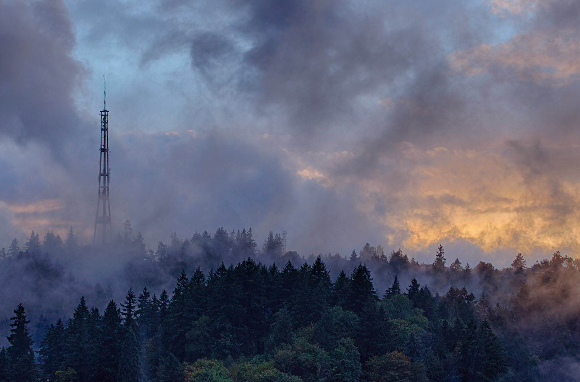From the balcony, Portland, 2021