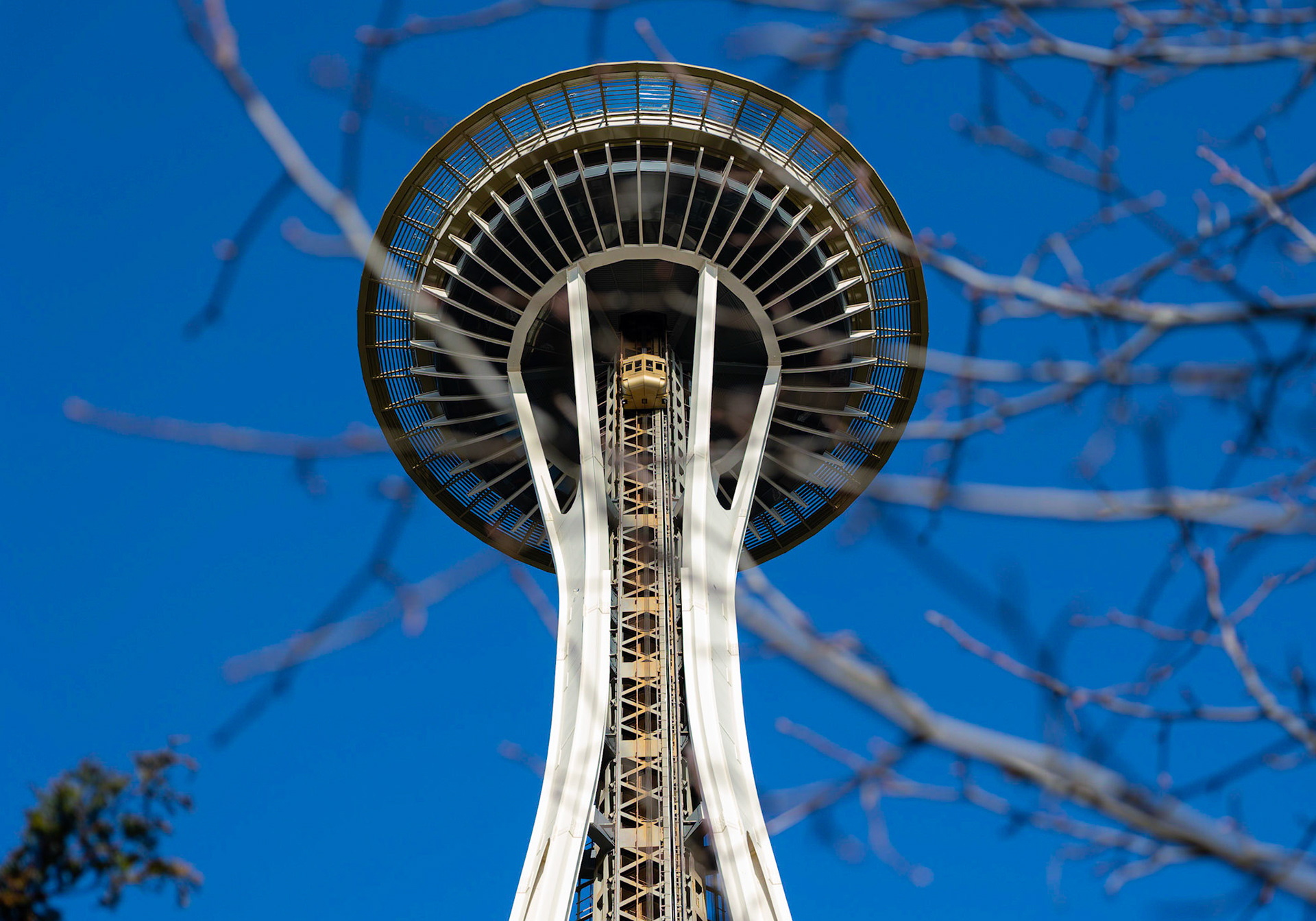 The Space Needle