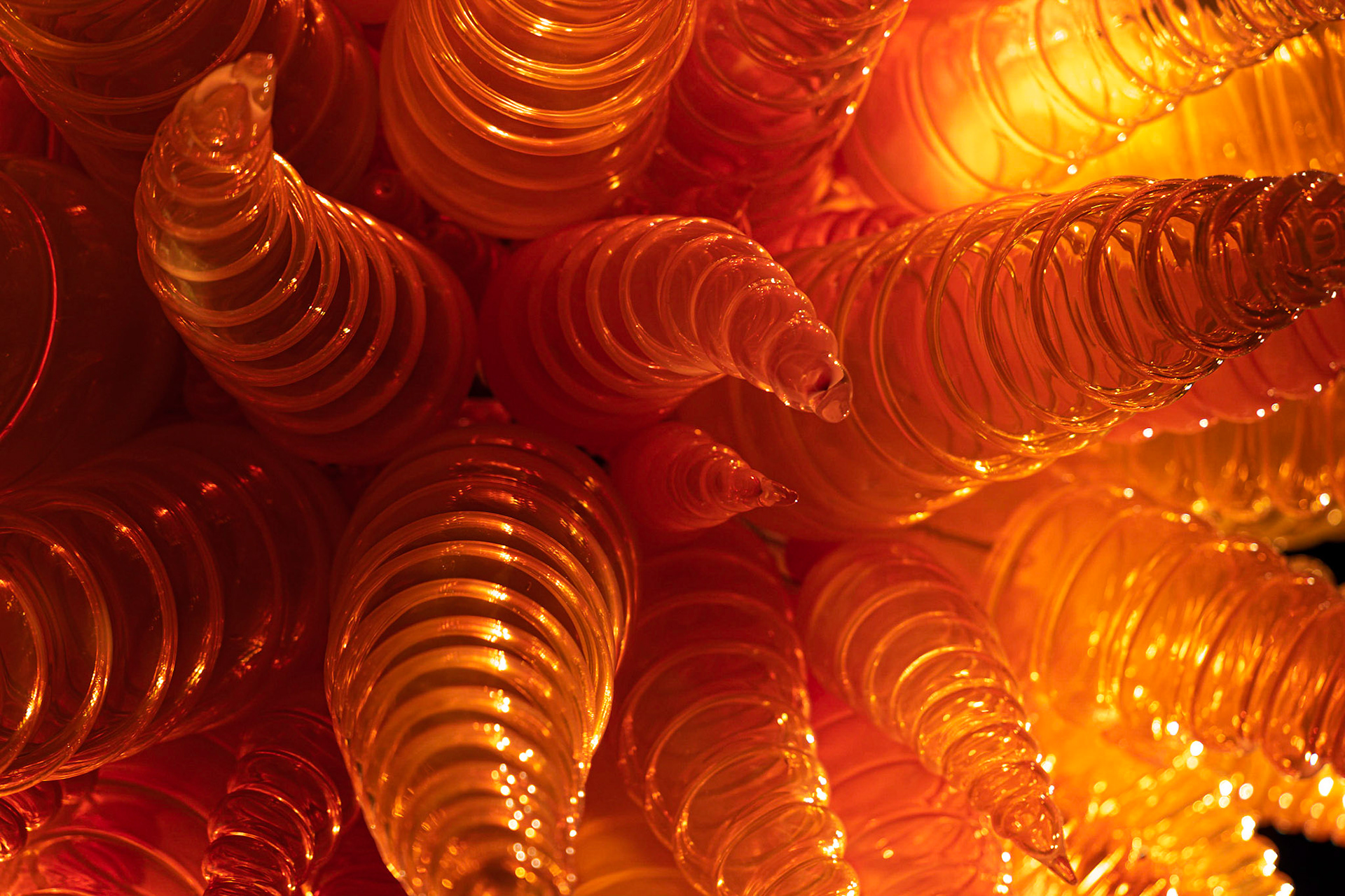 Chihuly Garden and Glass
