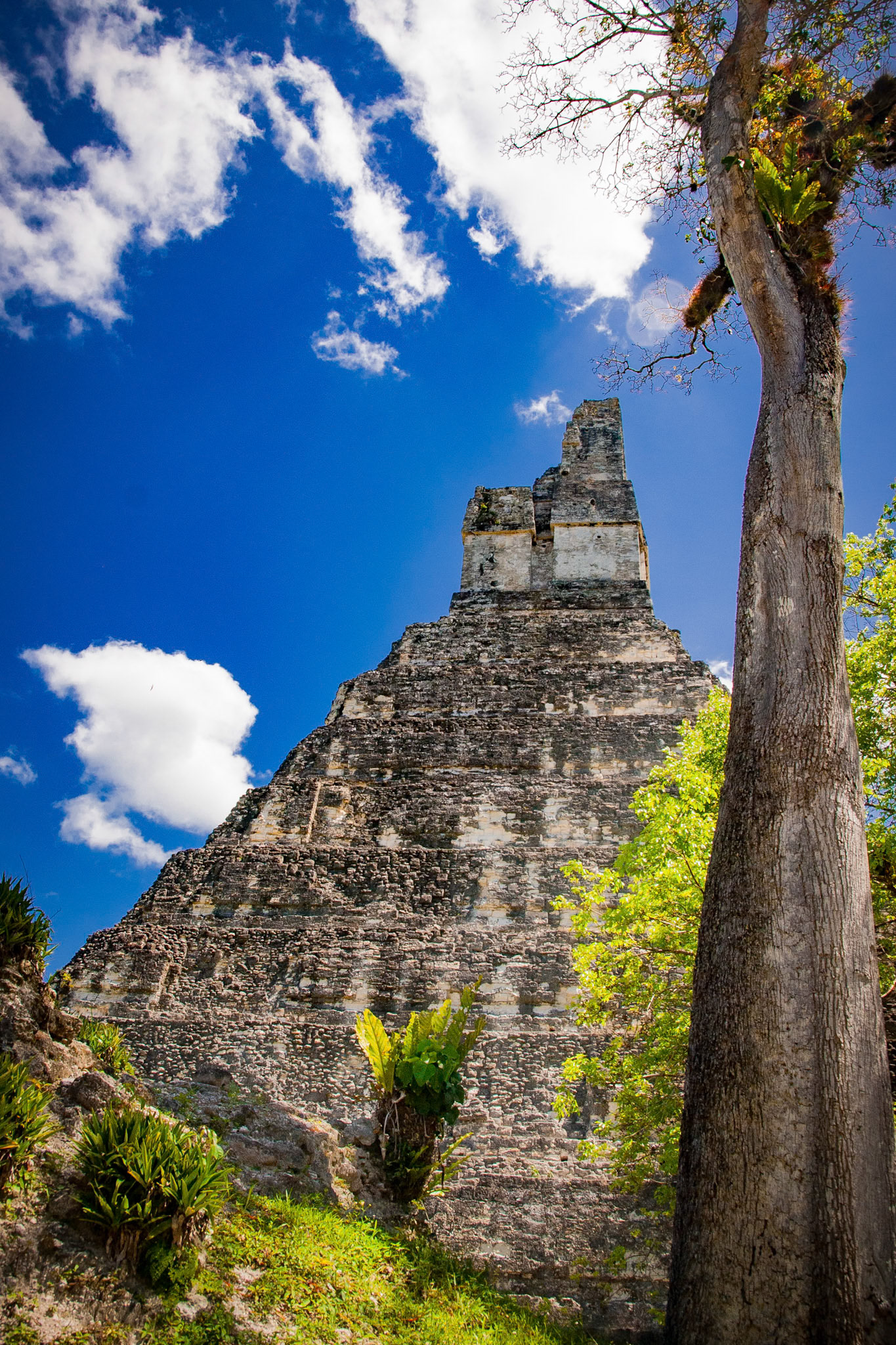 Tikal Temple formSide