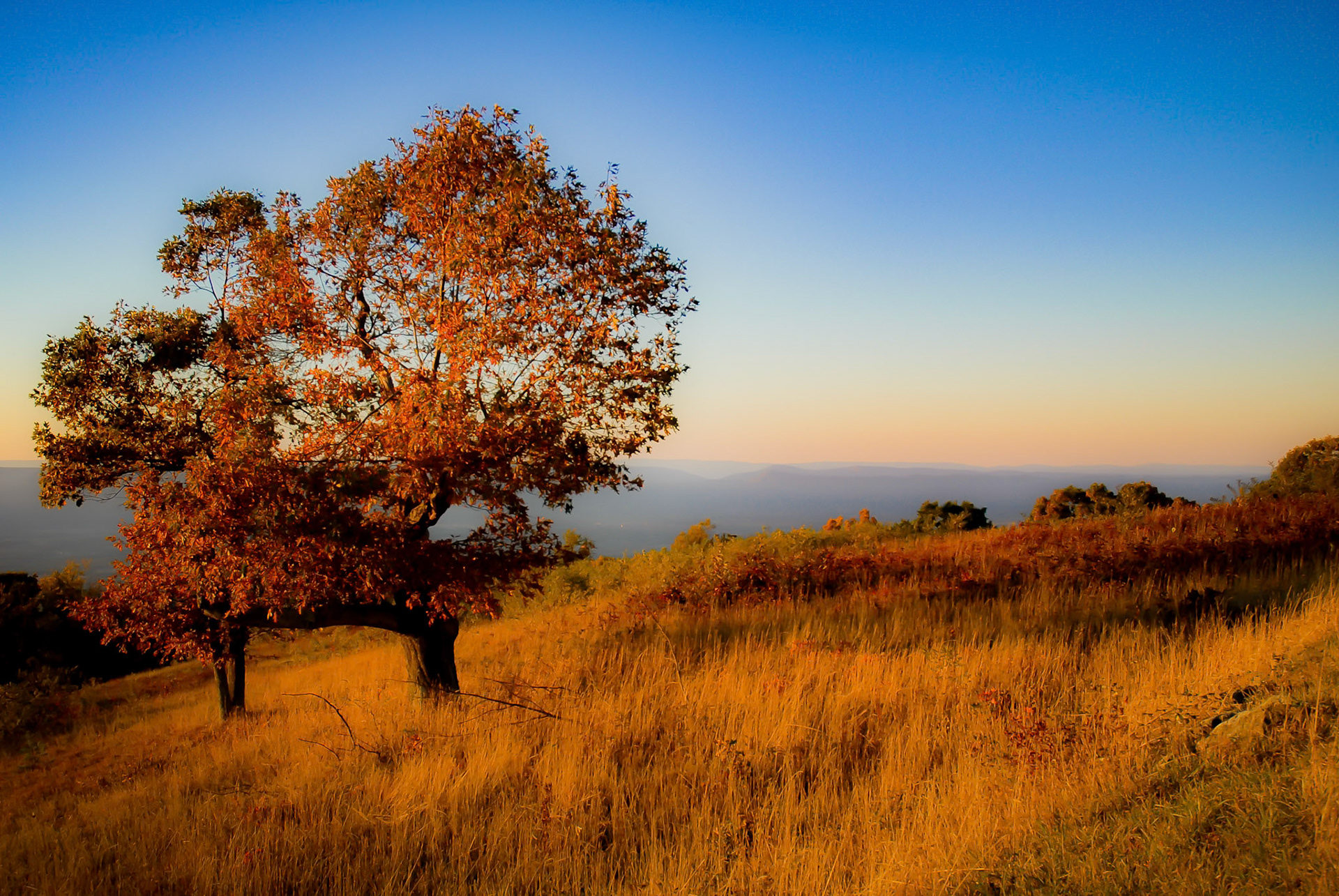 The trees were red, and orange, the grass was brown and orange, and the late afternoon sun cast an orange glow on everything.