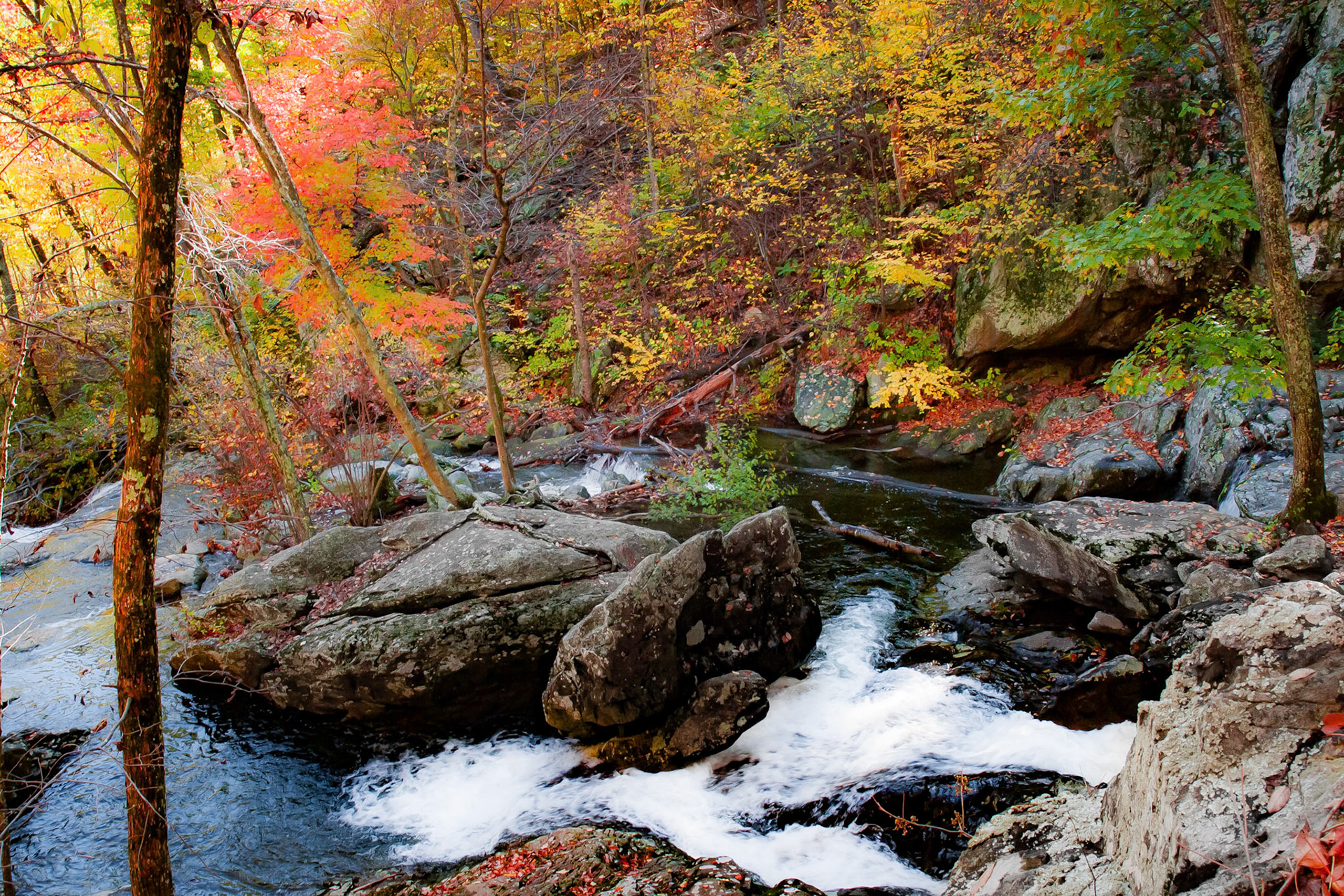 White Oak Canyon Cove