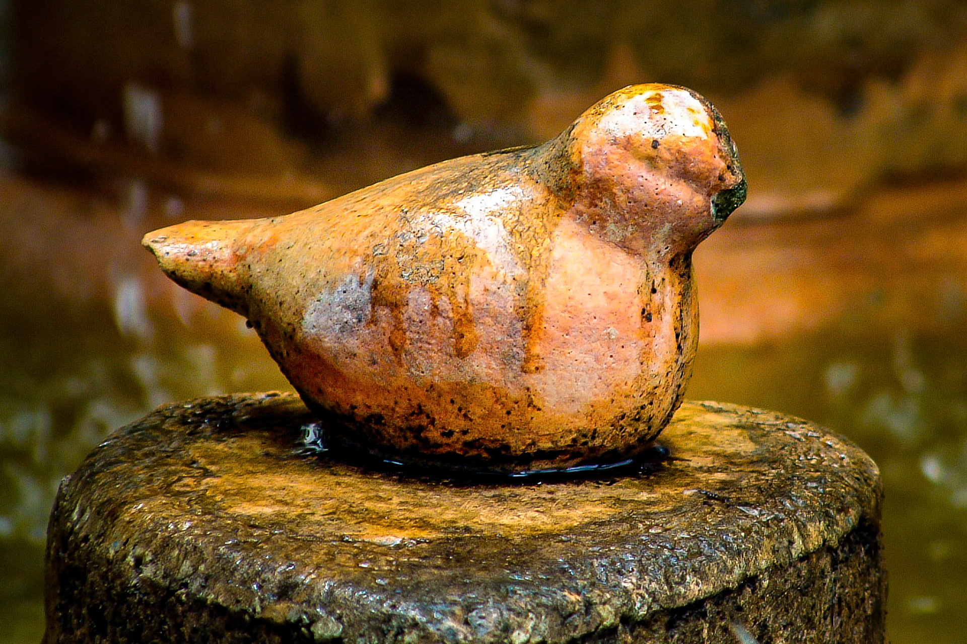 The apartment I was staying at with a group of friends in Miami had a fountain outside which had this weathered bird that wter, time, and algae had stained. The light in the courtyard was filtering through and fell on the bird gently illuminating it.