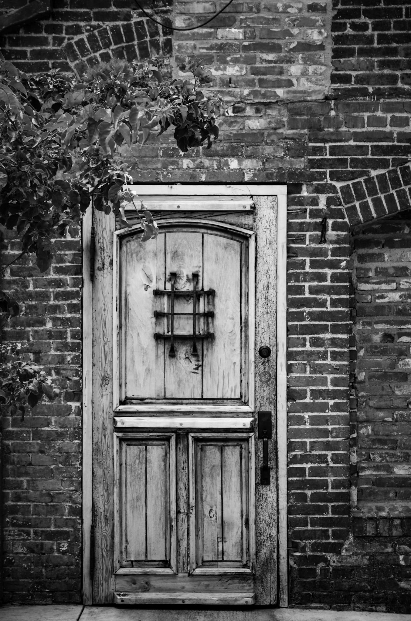 Old Door in Black and White