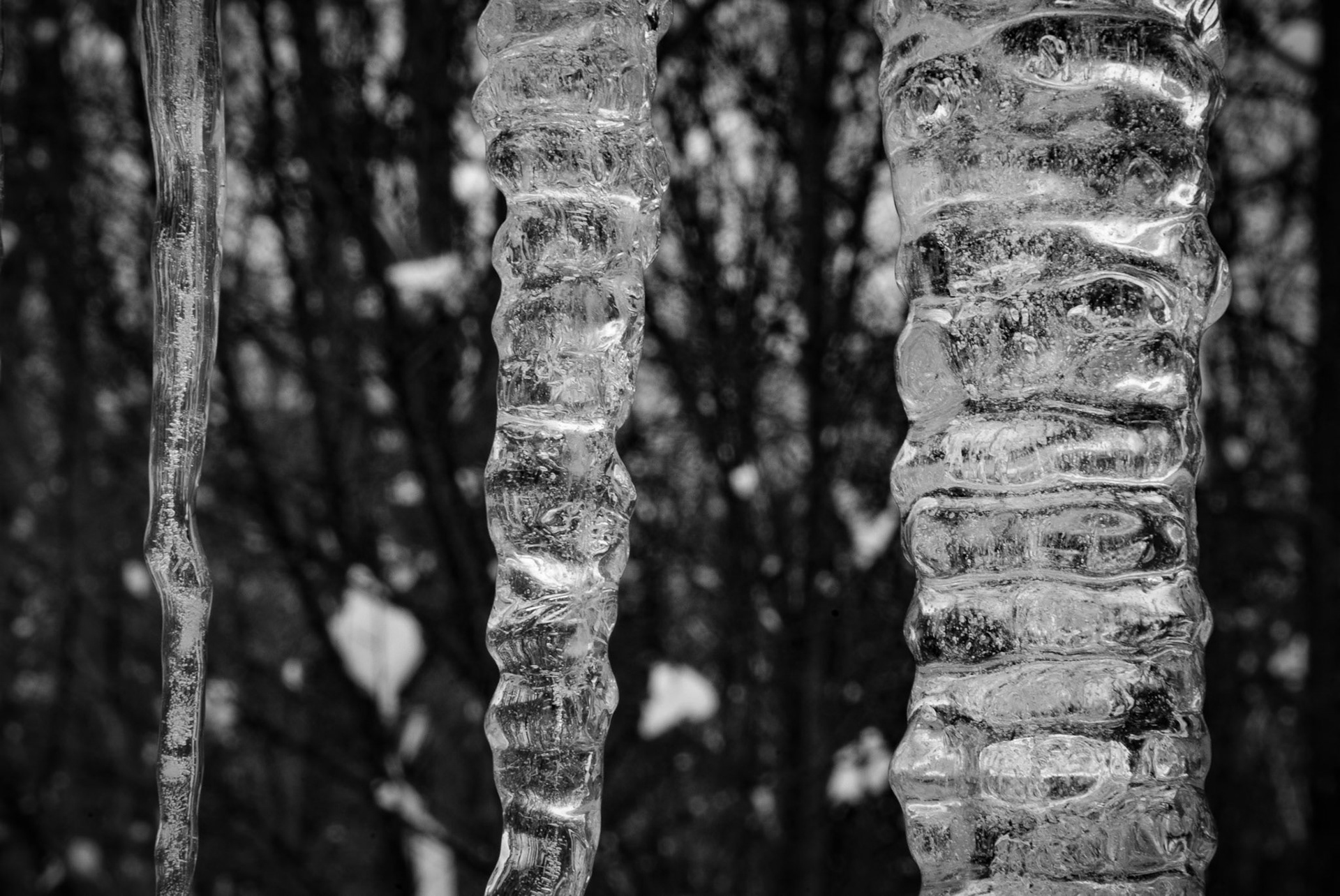 Icicle