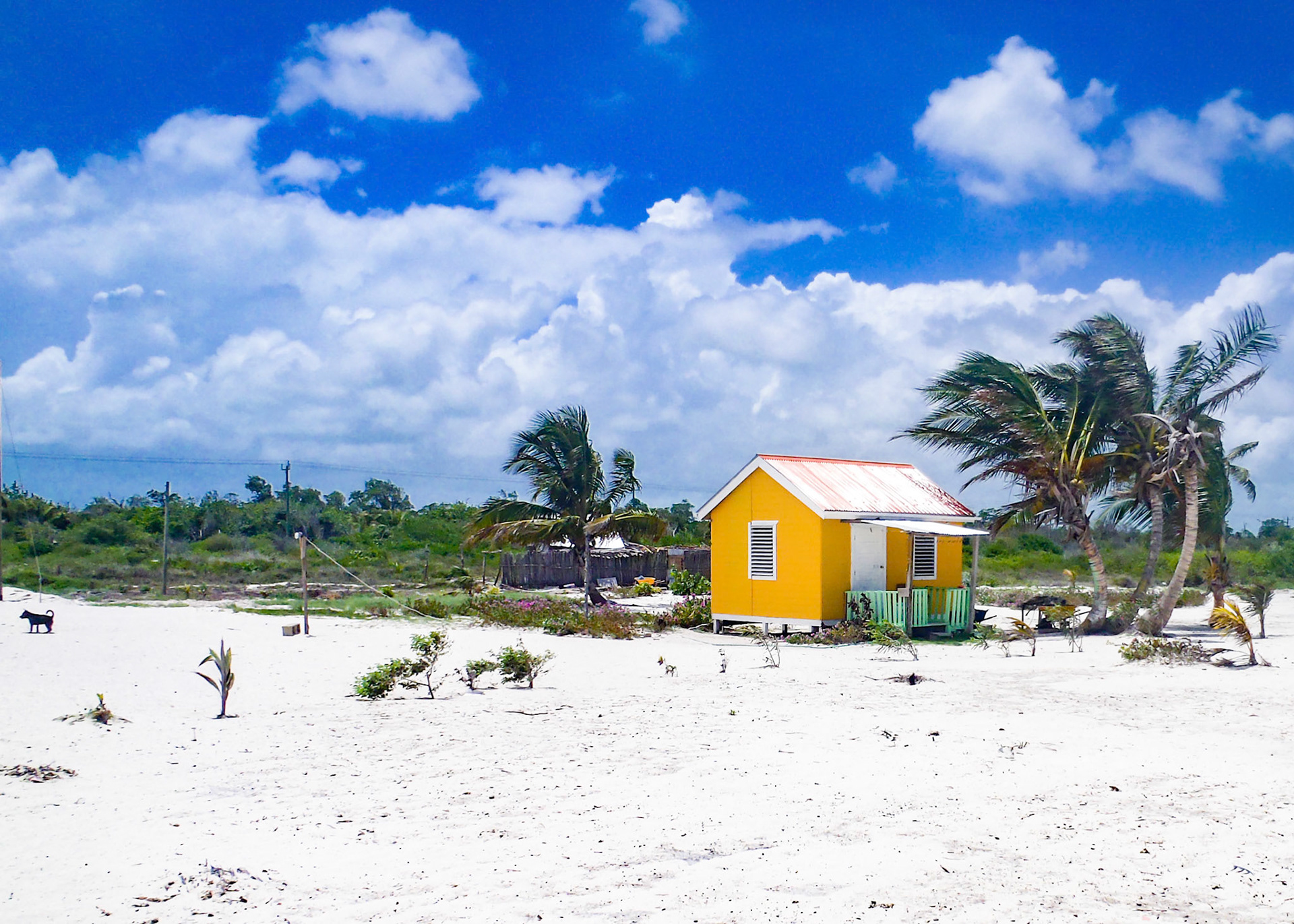 Yellow House on the Beach