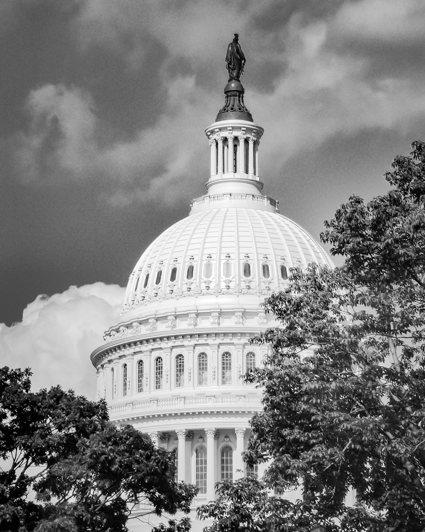 The Capitol Dome taken with my very first digital camera. I did not take many pictures with it. It was a point and shoot and not and at the time, not very high quality.