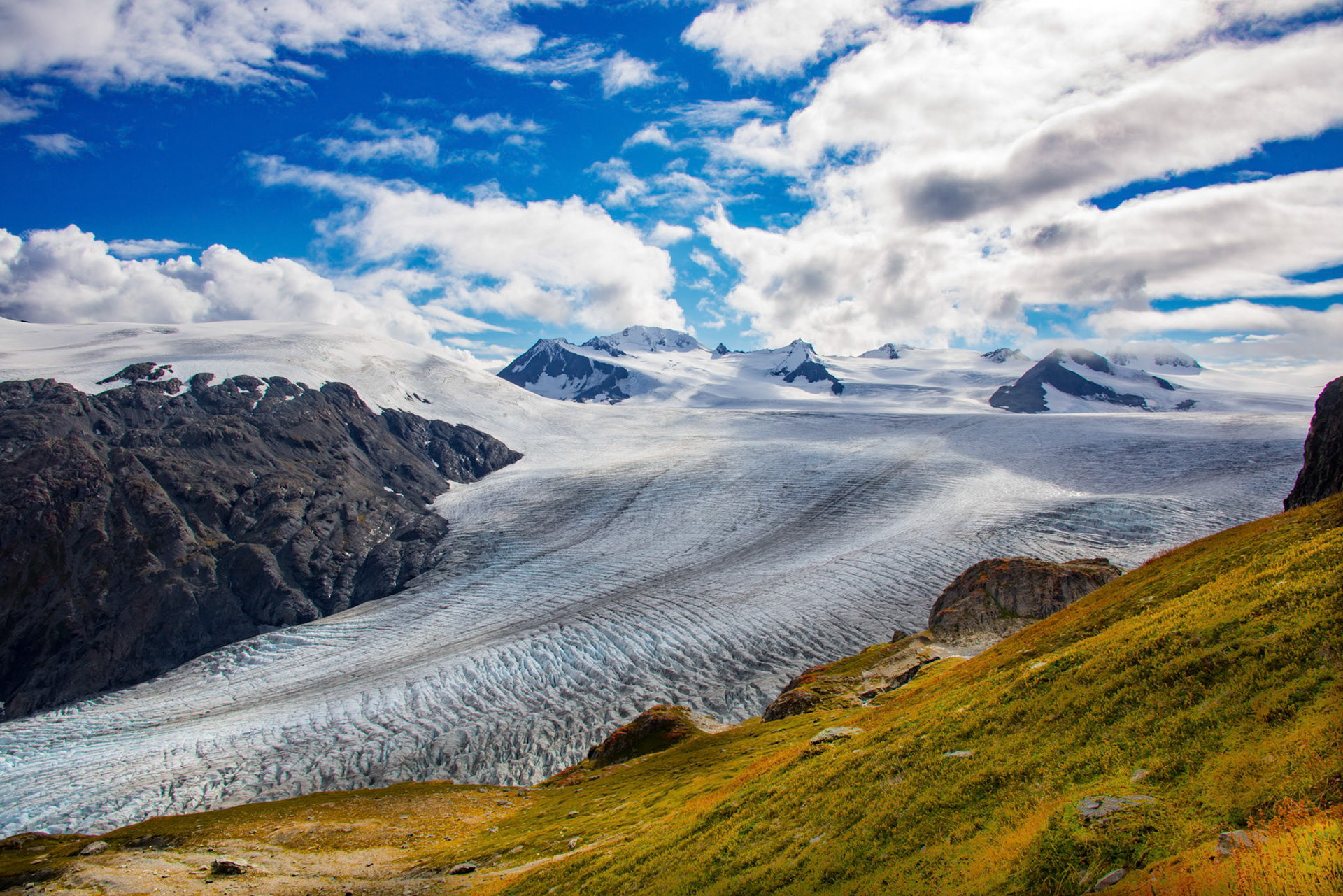 Exit Glacier