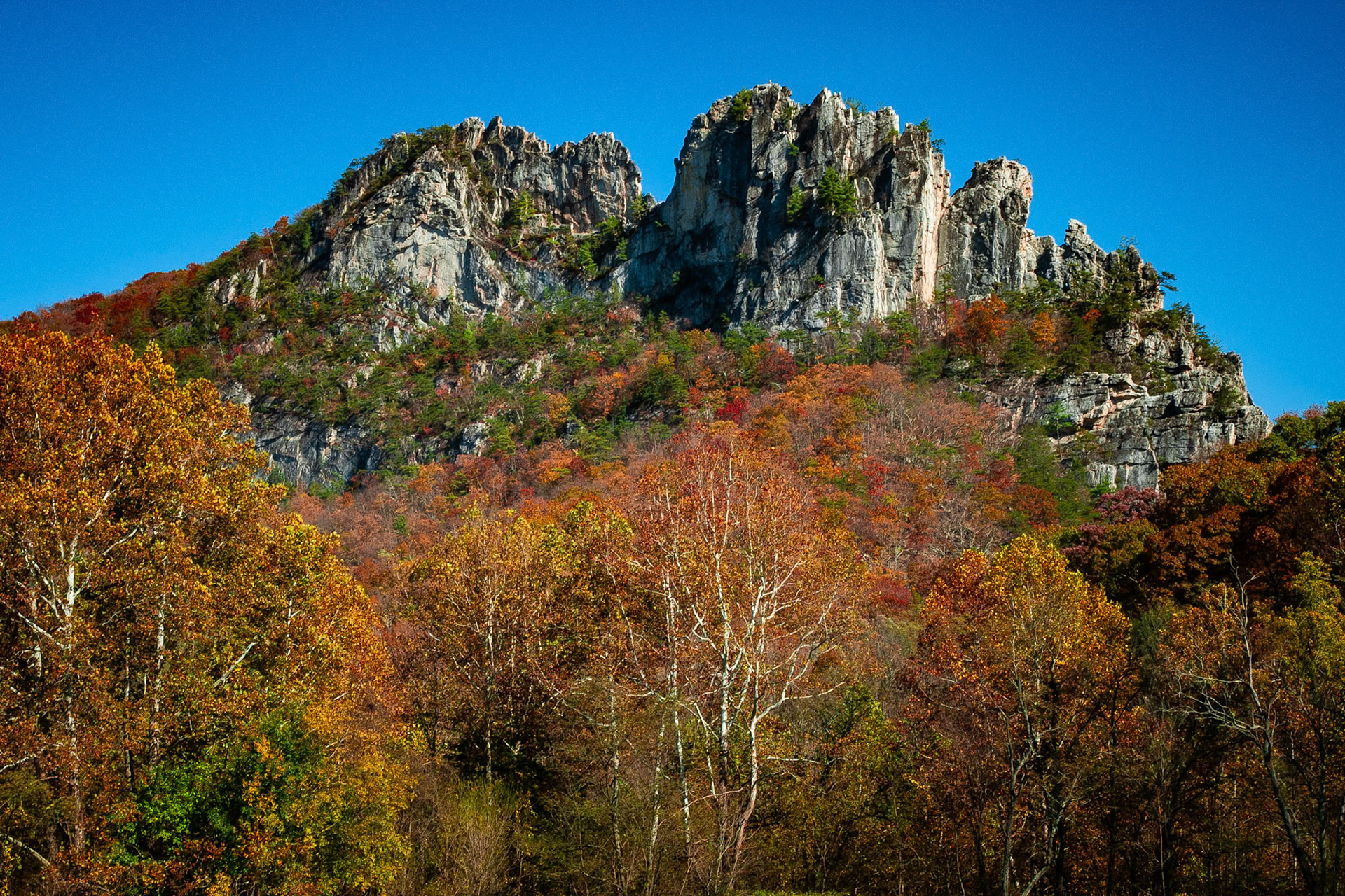 Seneca Rocks