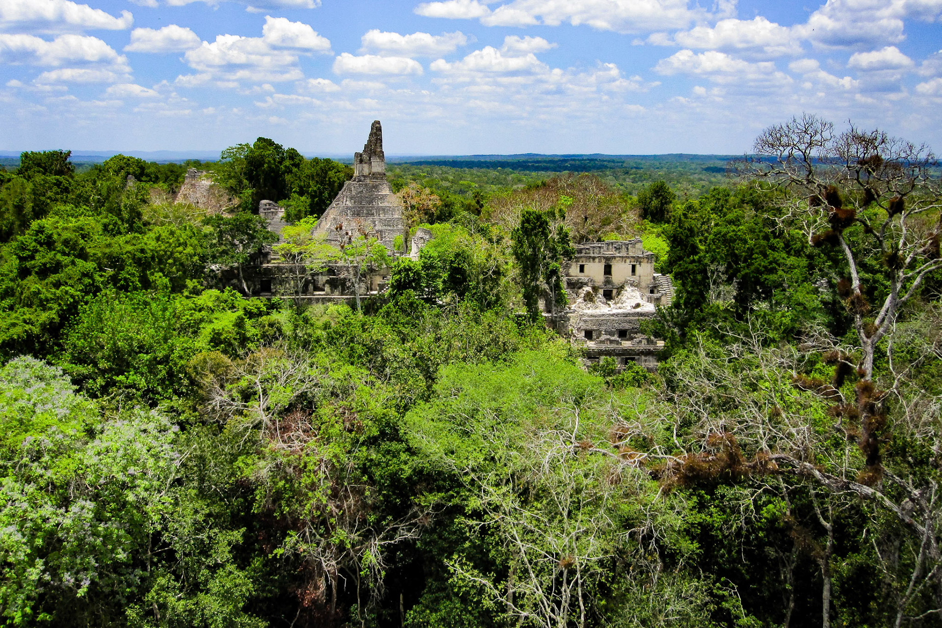 Tikal Mayan Ruins