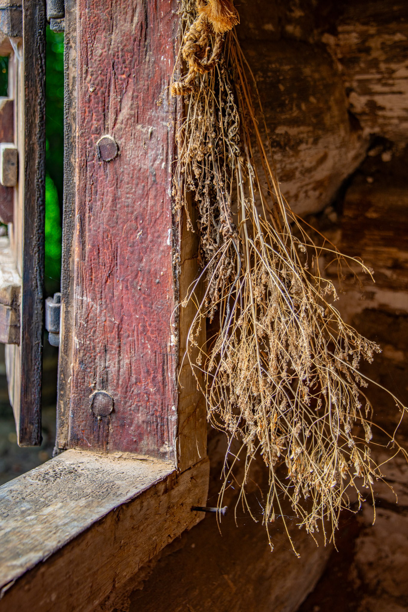 Flowers Drying in window