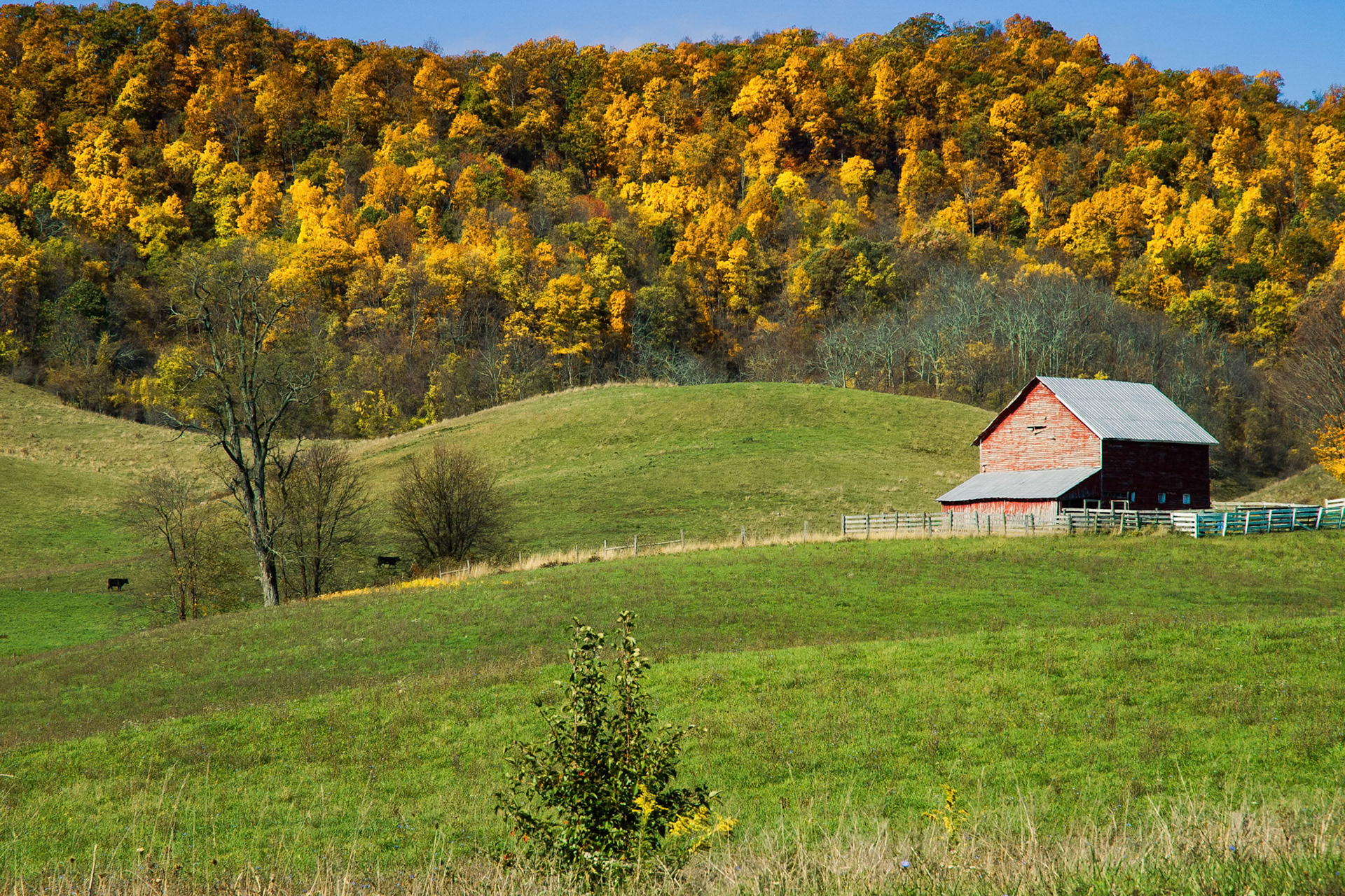 Farm Barn in Fall