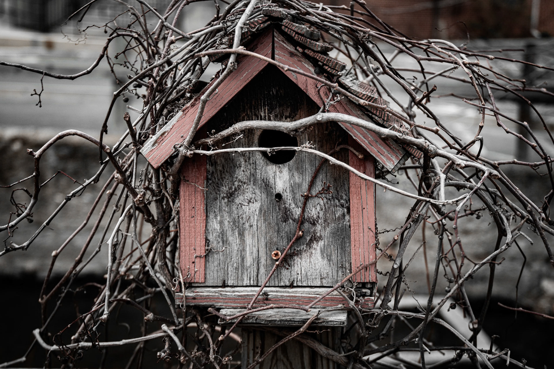 Old Birdhouse reduced saturation red house