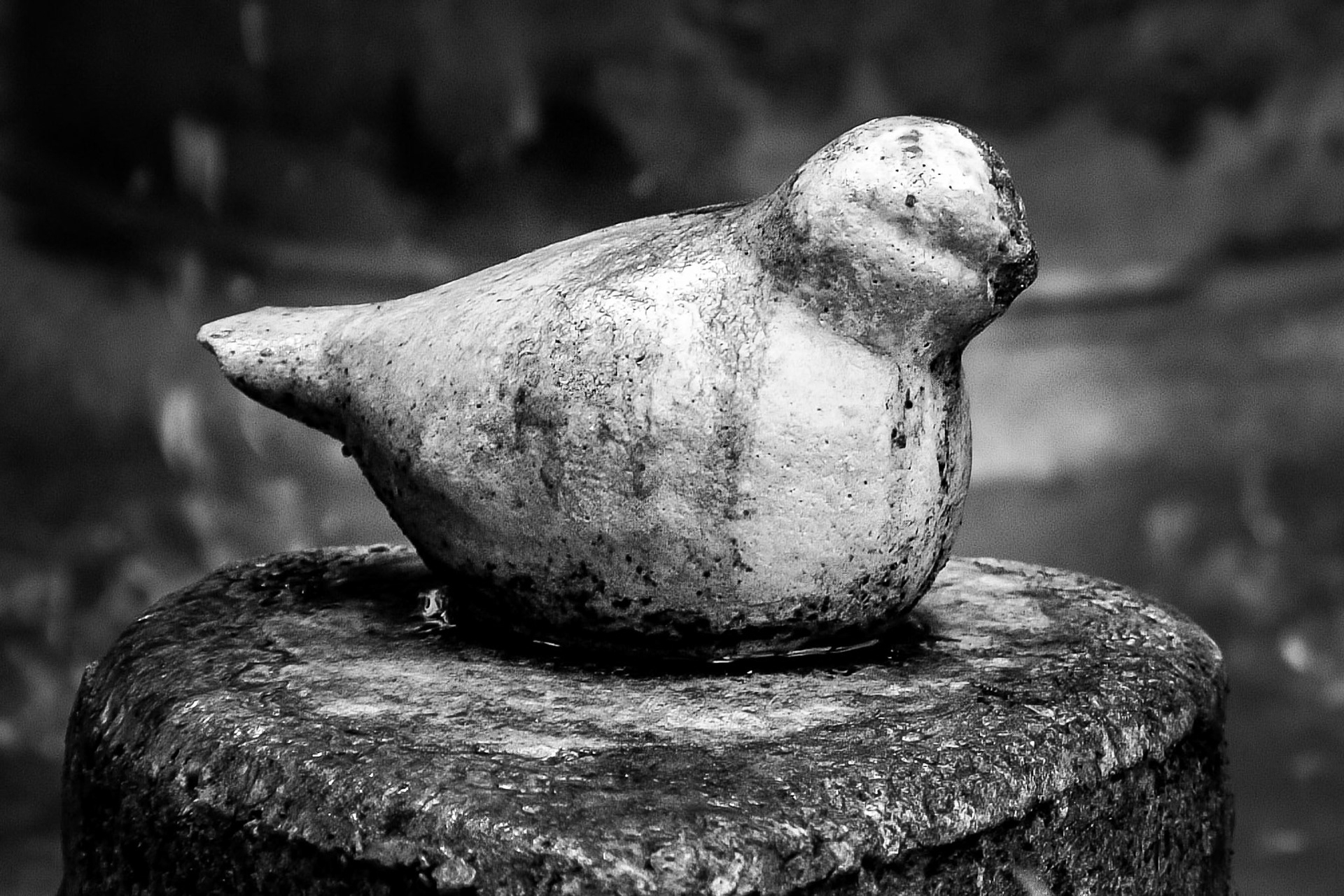 The apartment I was staying at with a group of friends in Miami had a fountain outside which had this weathered bird that wter, time, and algae had stained. The light in the courtyard was filtering through and fell on the bird gently illuminating it.