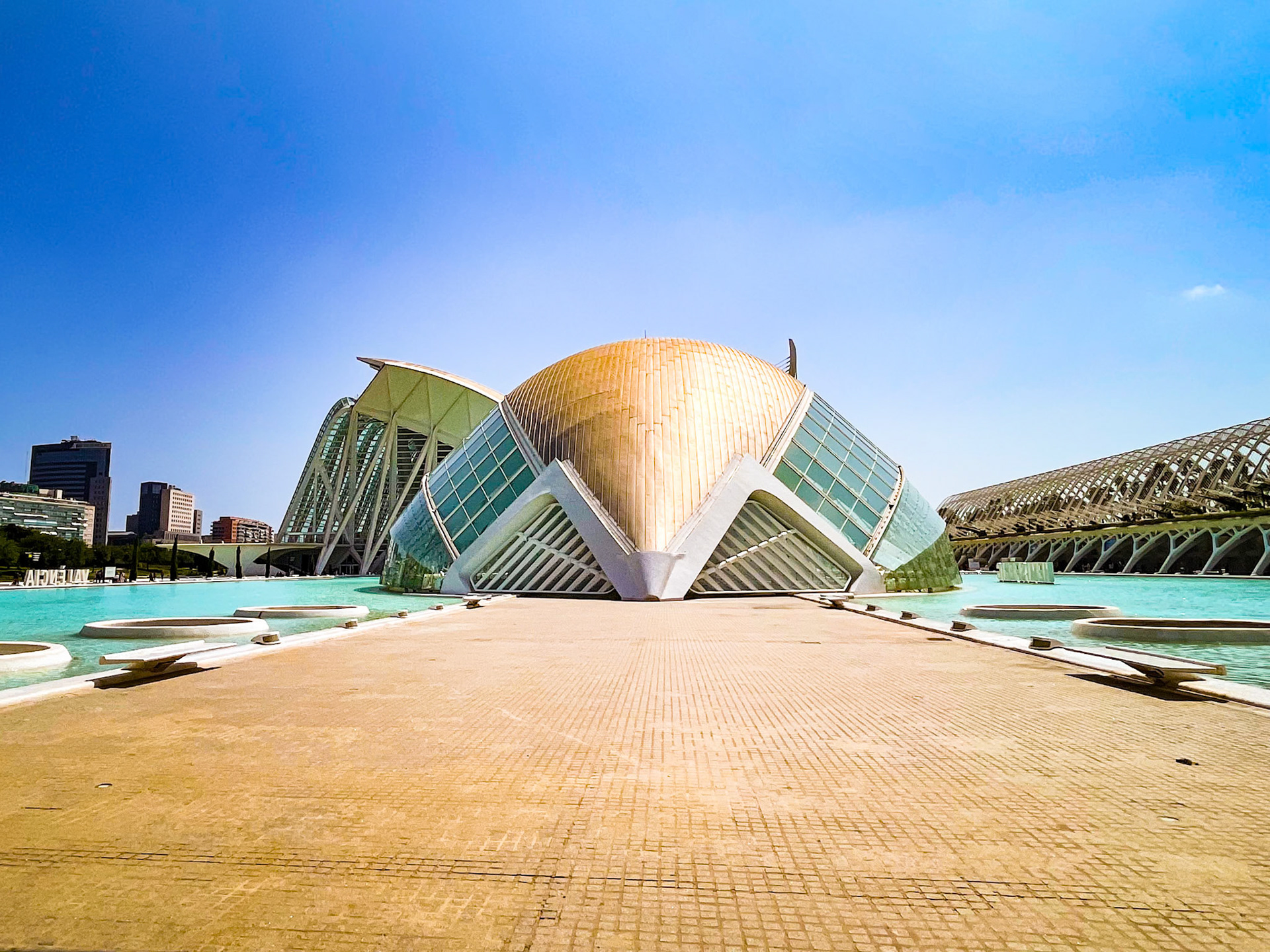 ity of Arts and Science