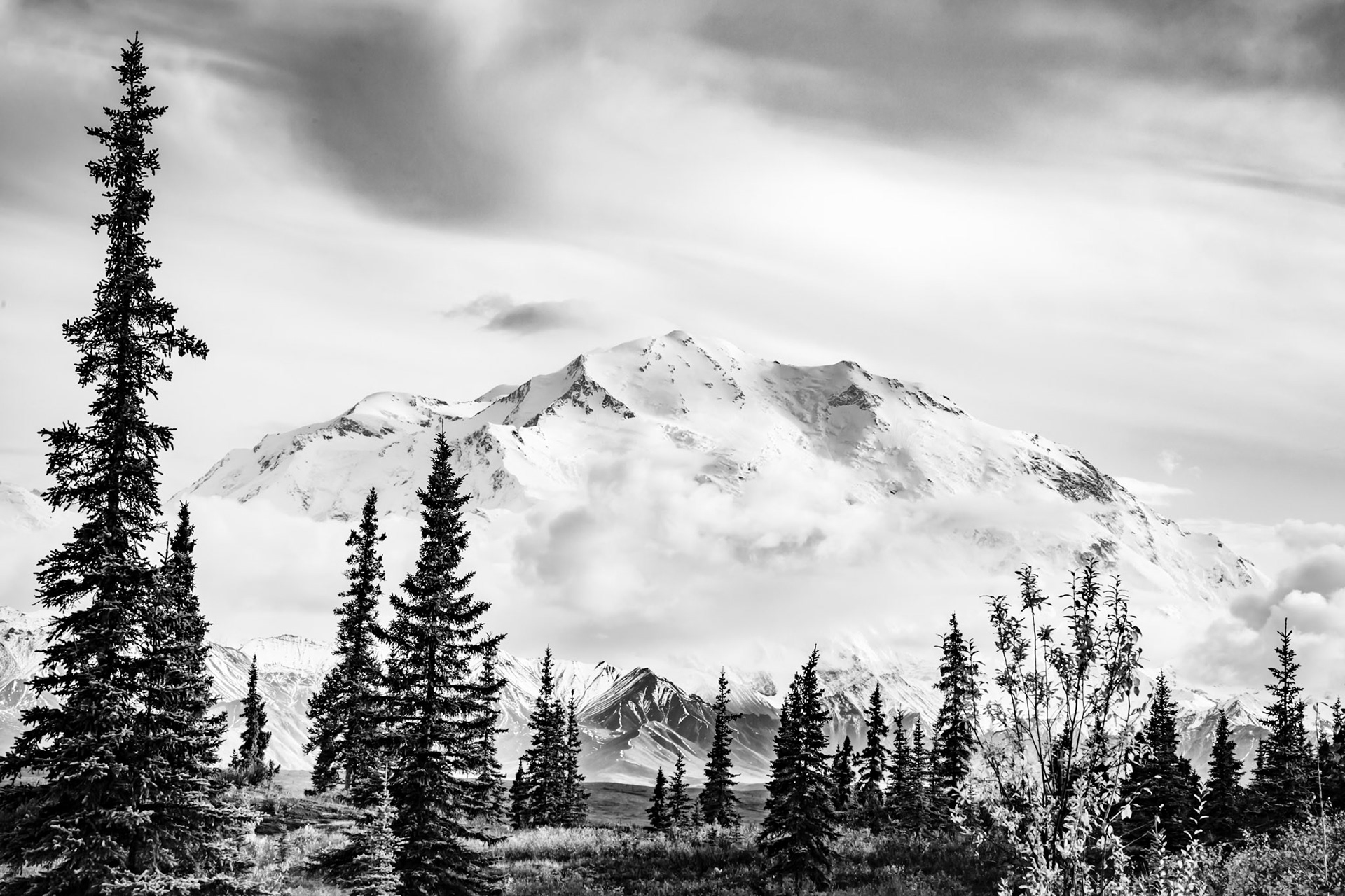 Denali Wrapped in Clouds