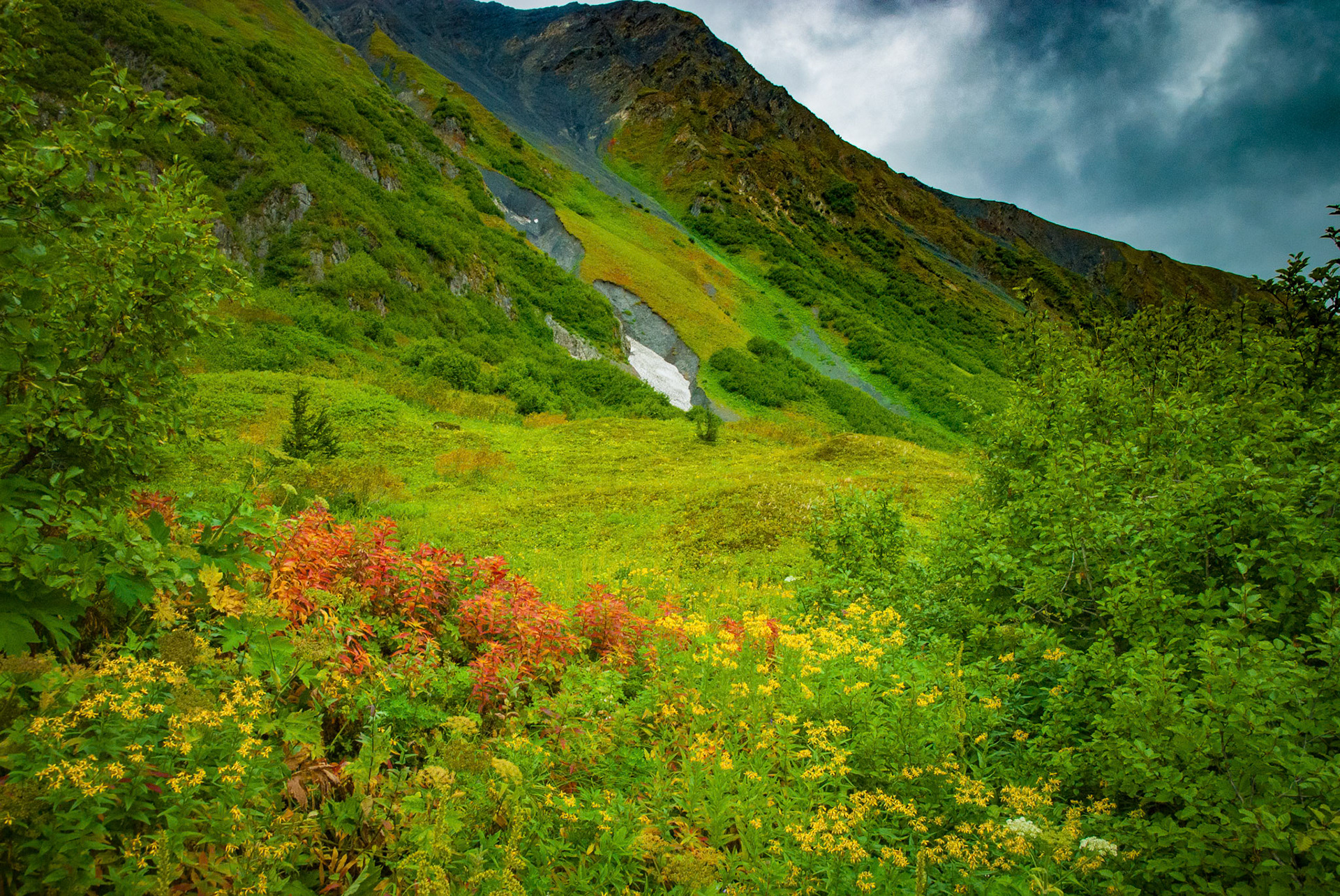 The path up to the ice field is lush with flowers