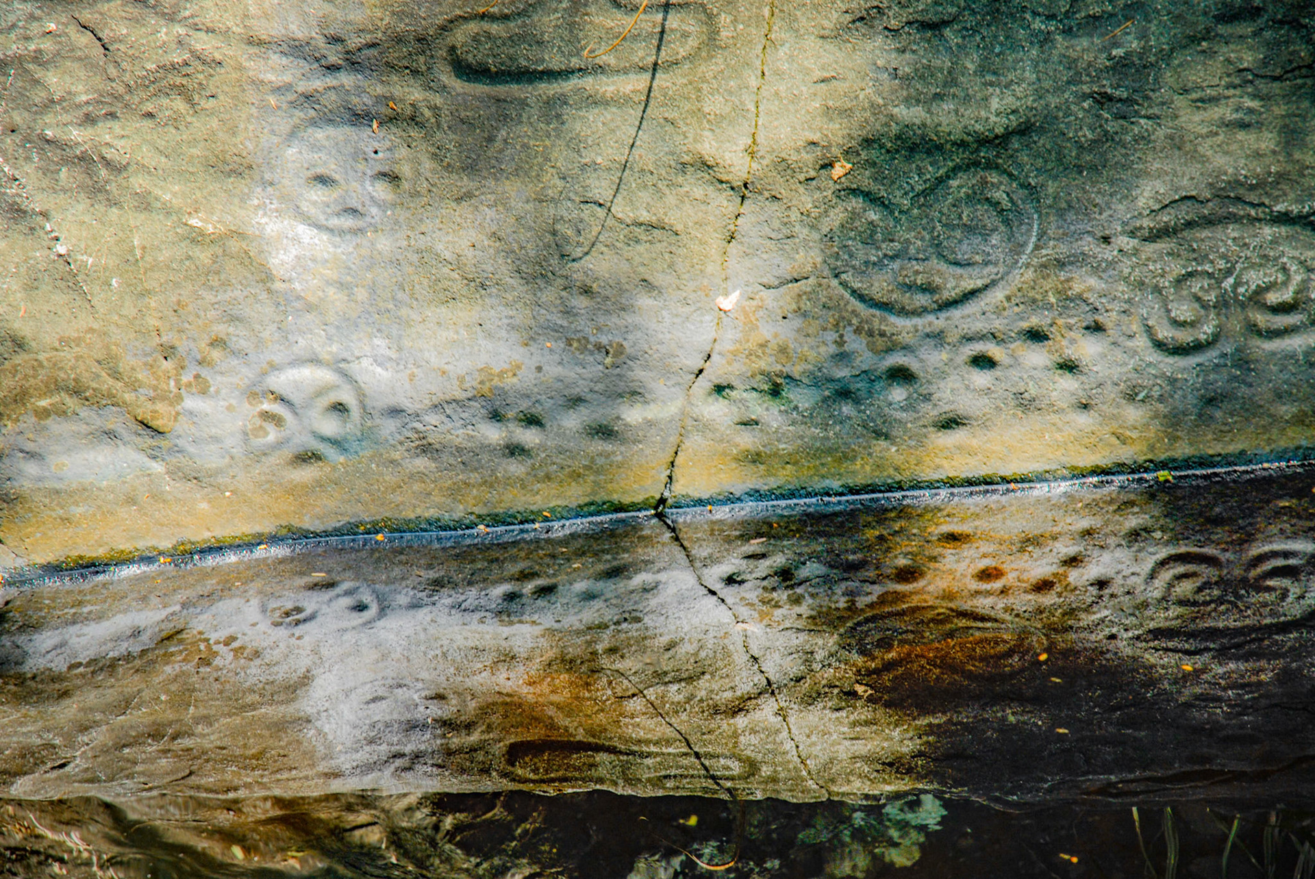 Ancient Petroglyphs over a pool of water in the rainforest