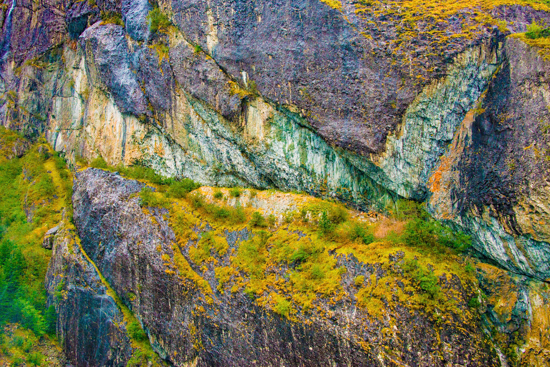The cliff has a nartural formation that looks llike a killer whale.