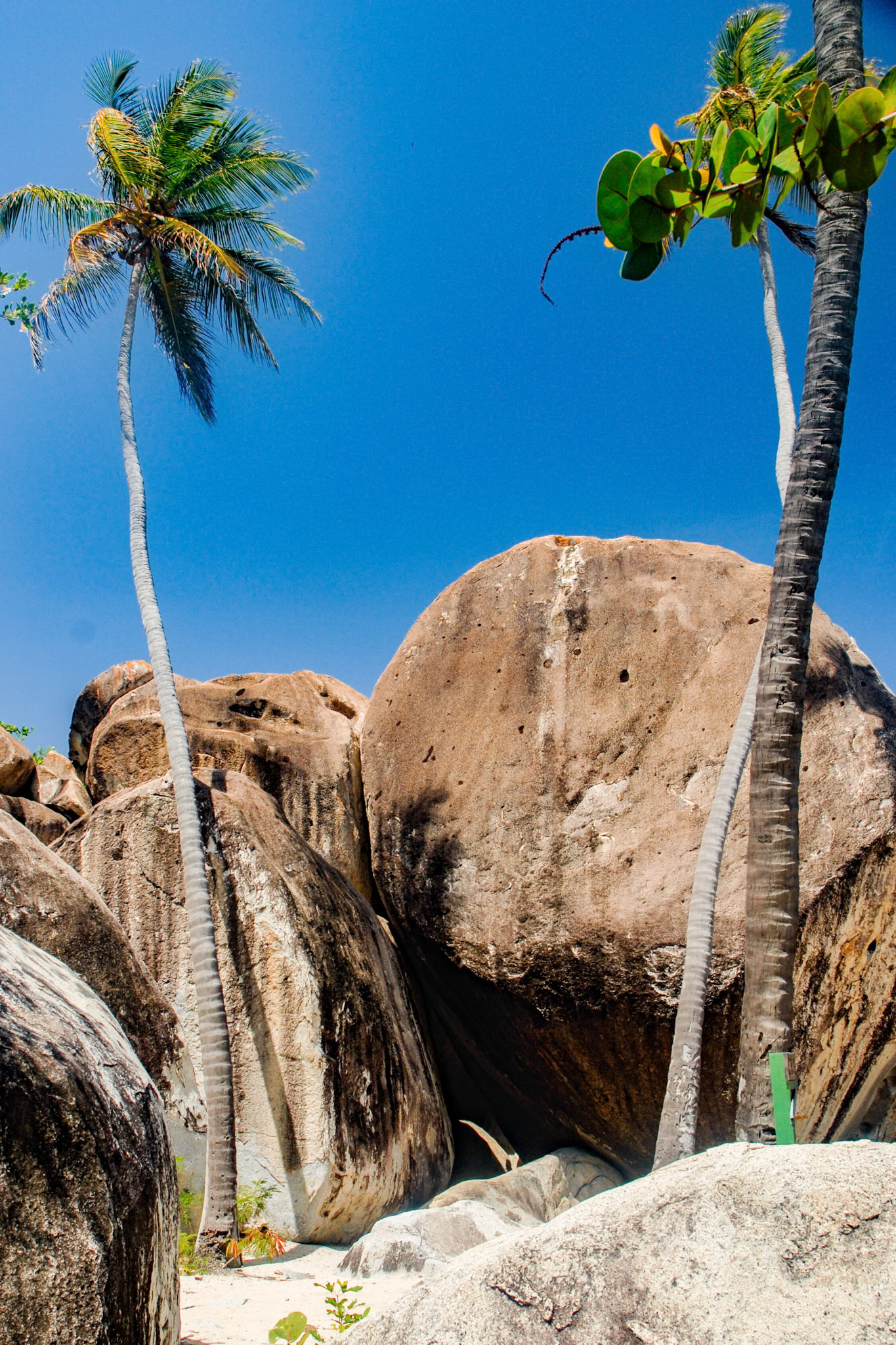 Large rocks and palms at the Baths BVI