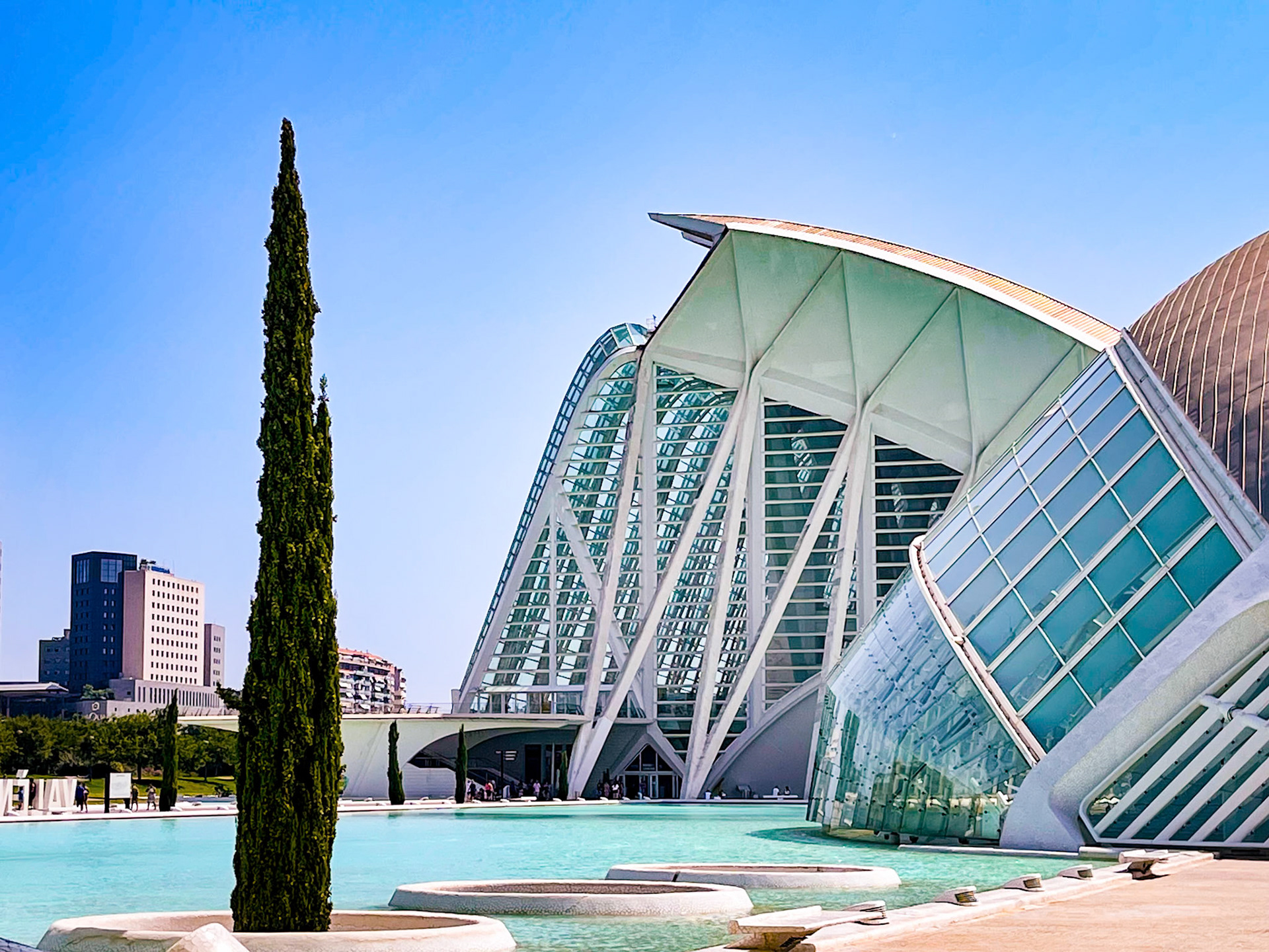 ity of Arts and Science