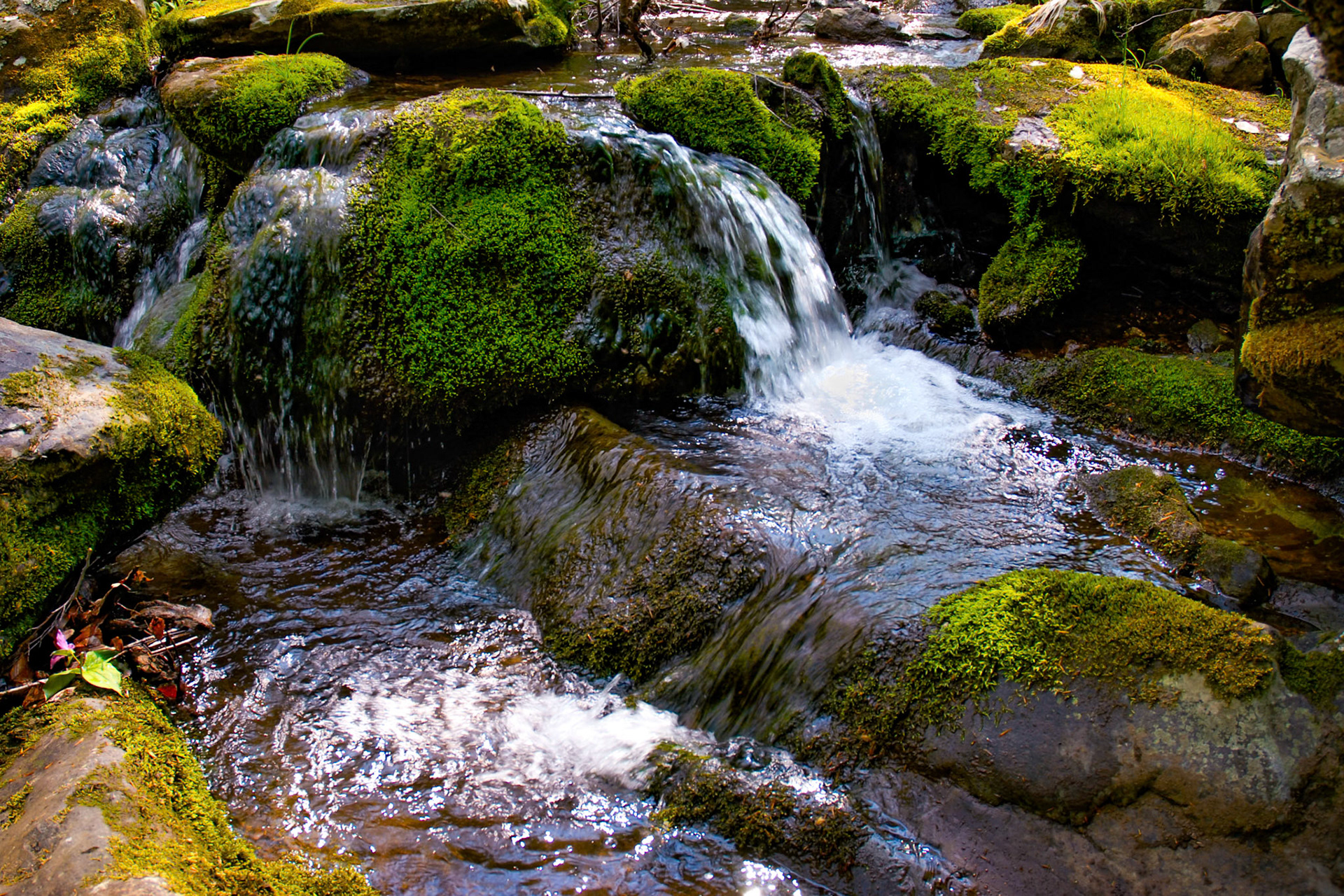 Small waterfall pouring from pool to pool. I really like the formation of the small pools as they cascaded down from pool to pool.
