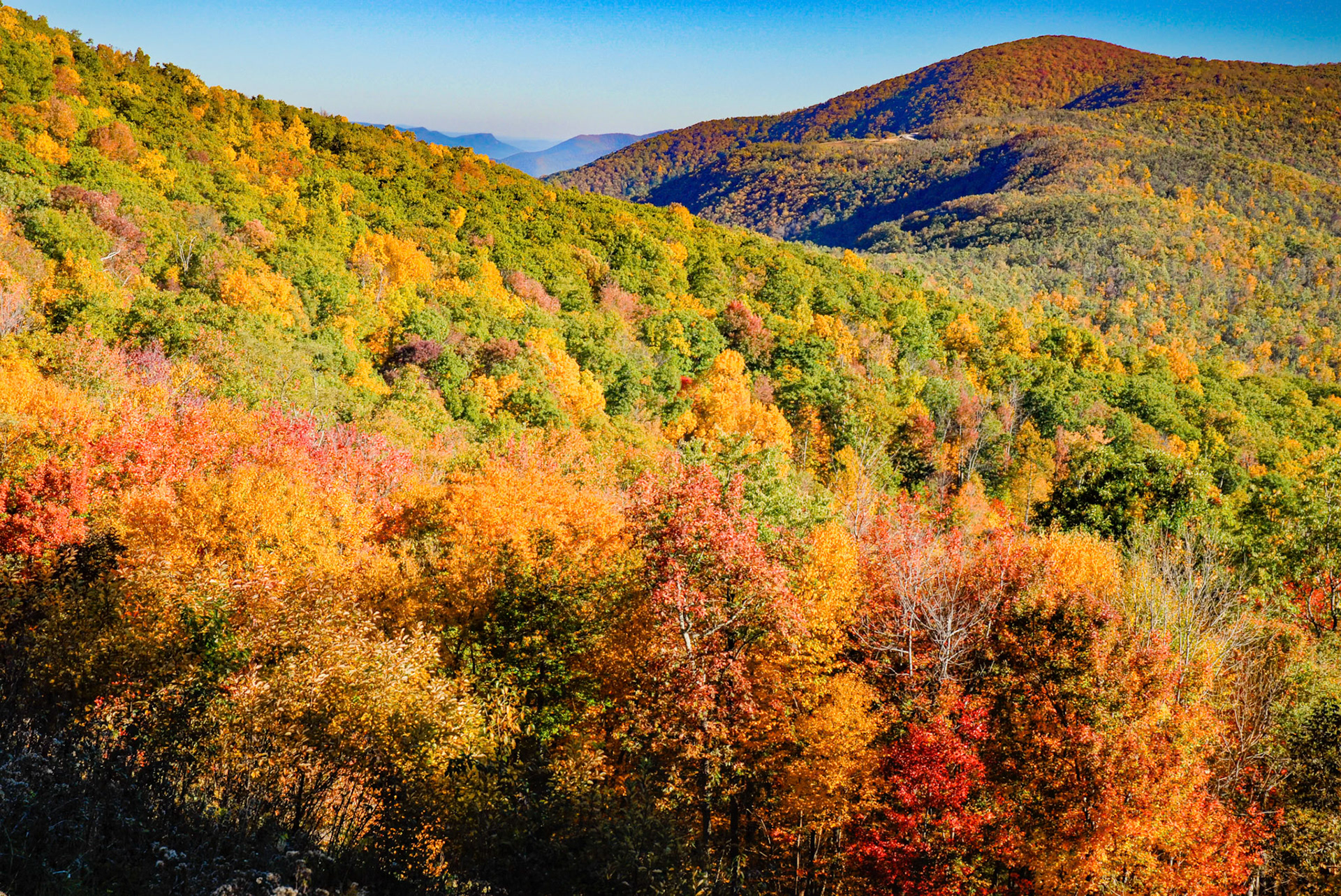 This is the ridgeline of the Shenandoah National Park. The trees this fall were thick and veyr color