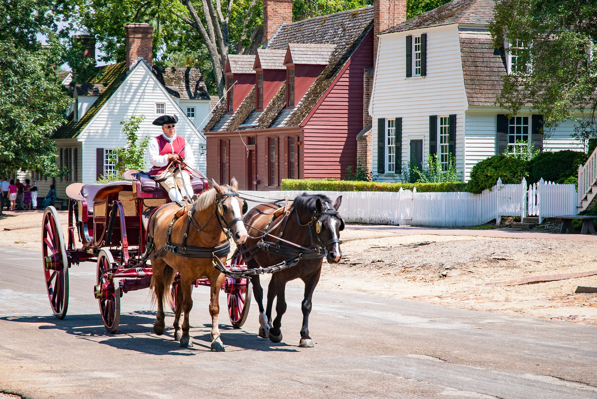 Horse and Carriage Colonial Williamsburg