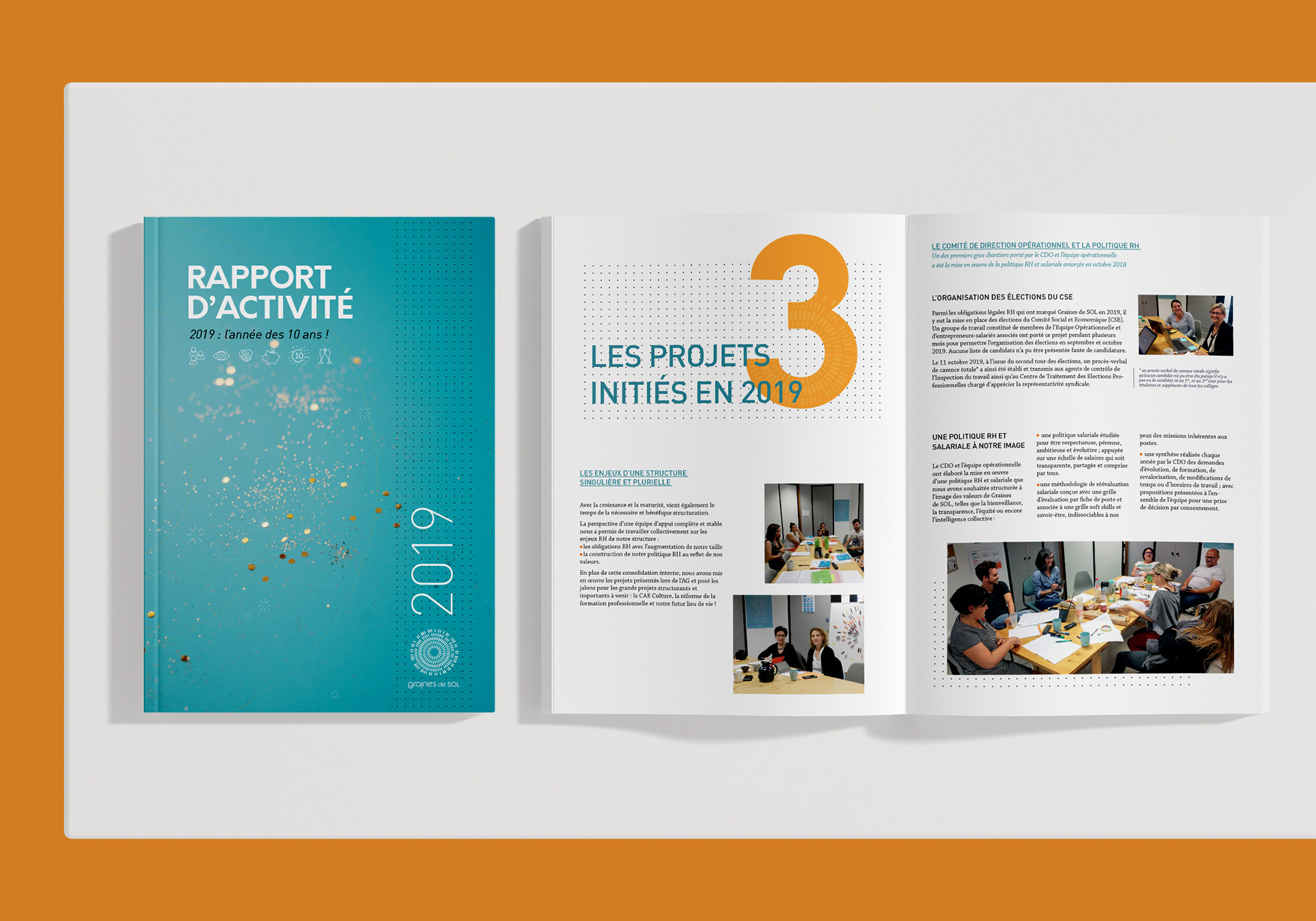 Création rapport d'activité • Graines de SOL