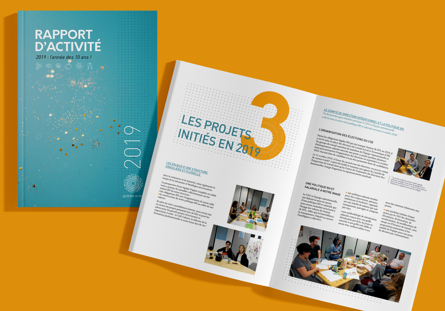 création print rapport d'activité _ Graines de SOL _ coopérative d'activités