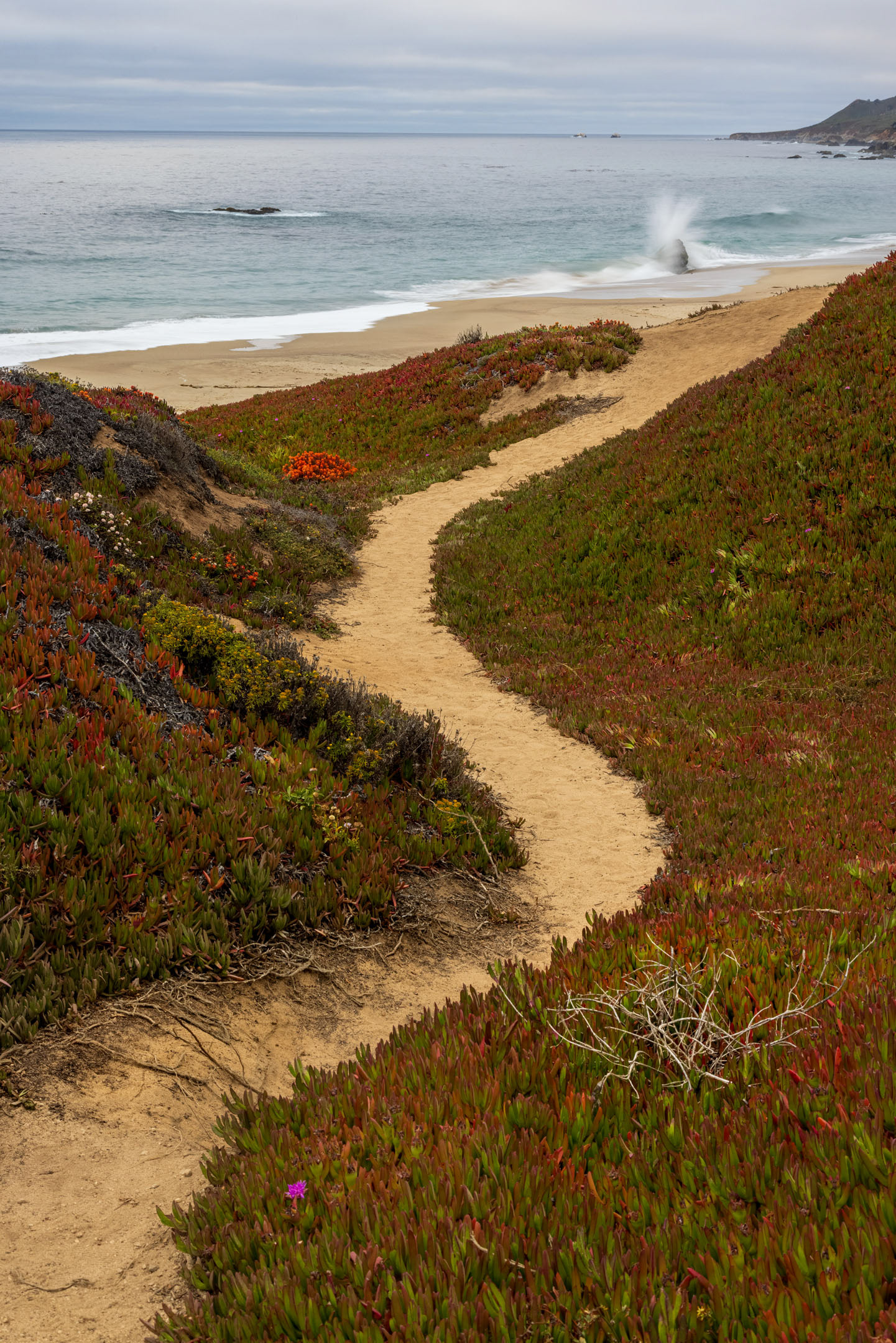 Garrapata State Park, CA
