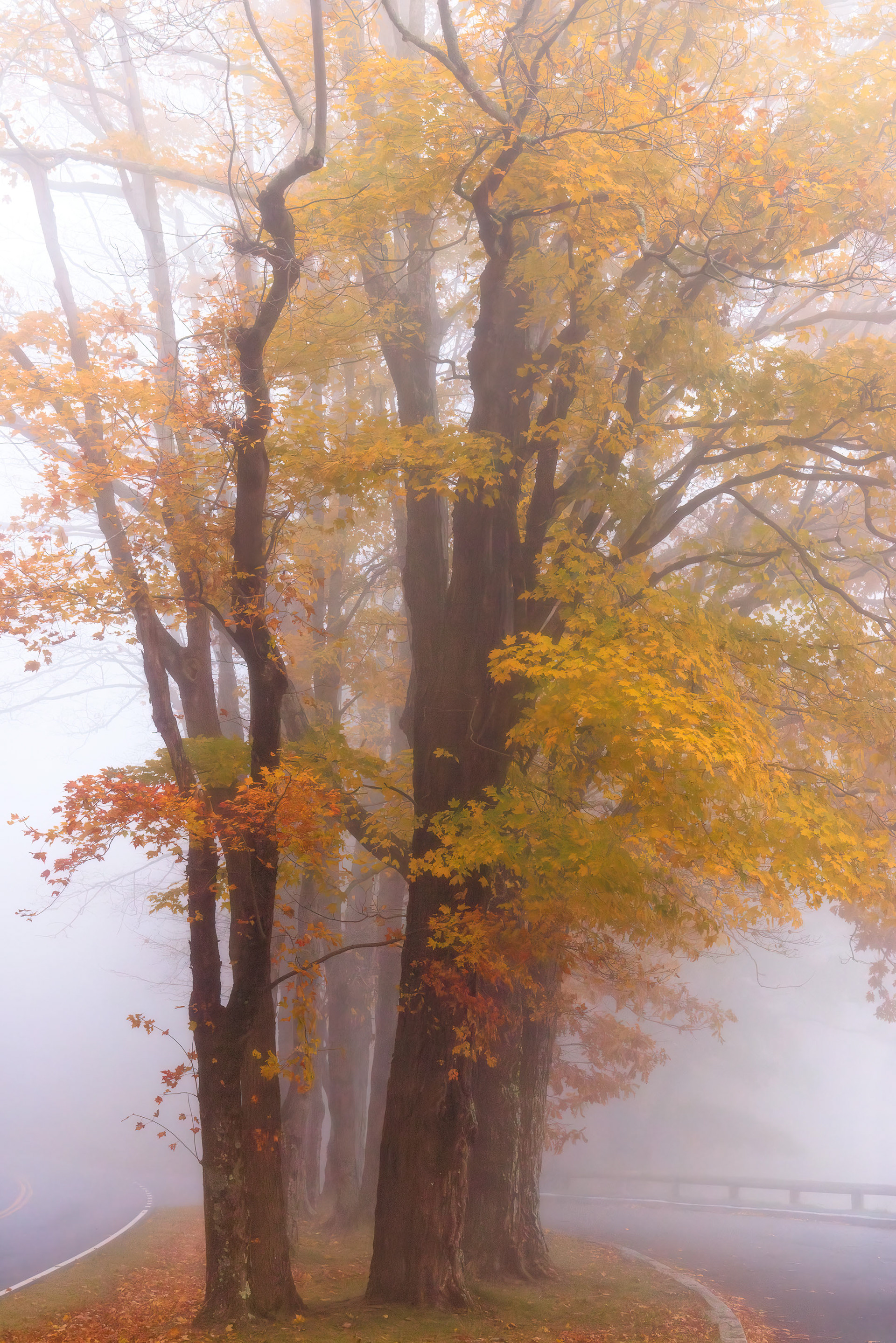 Shenandoah National Park