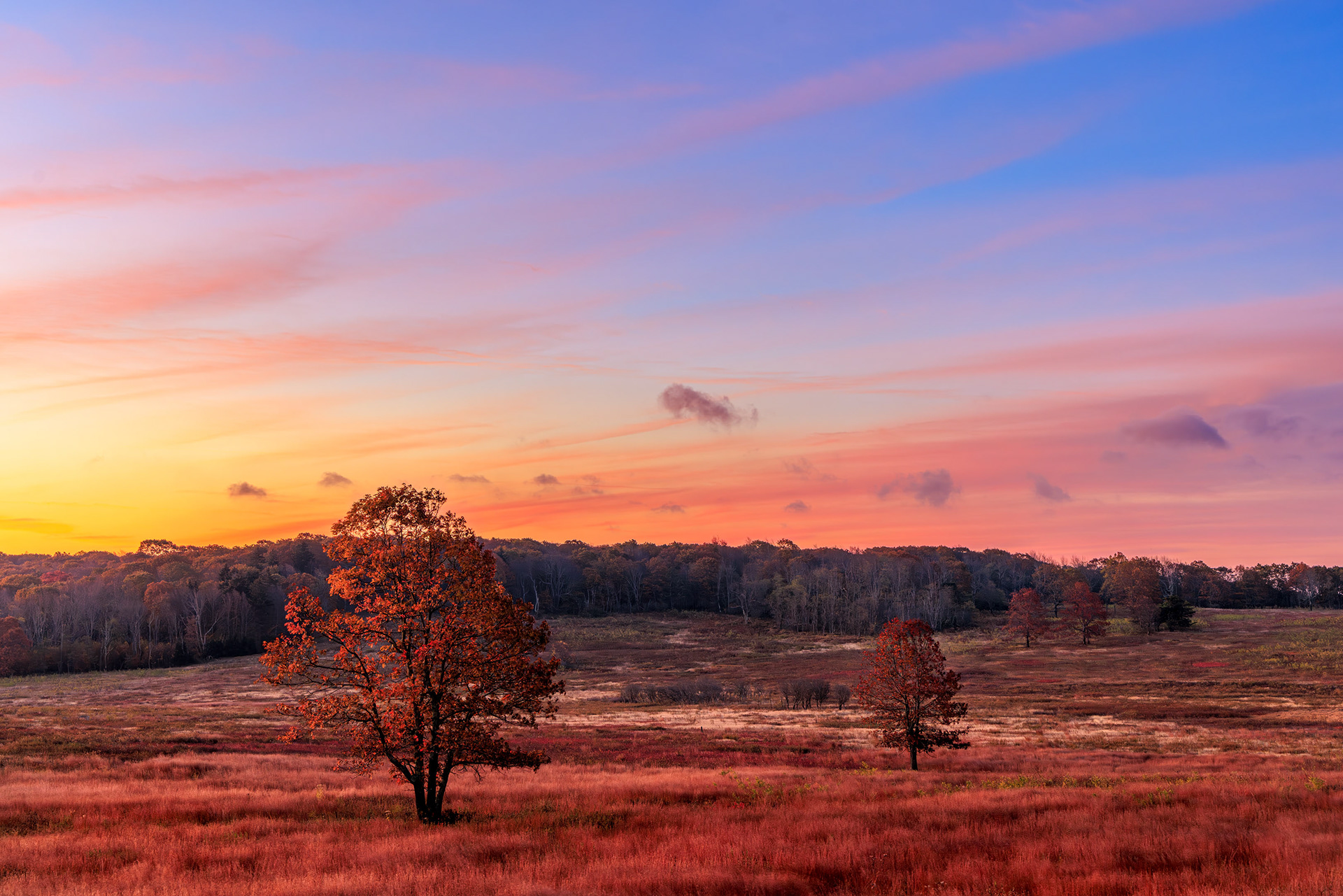 Sunrise at Big Meadows