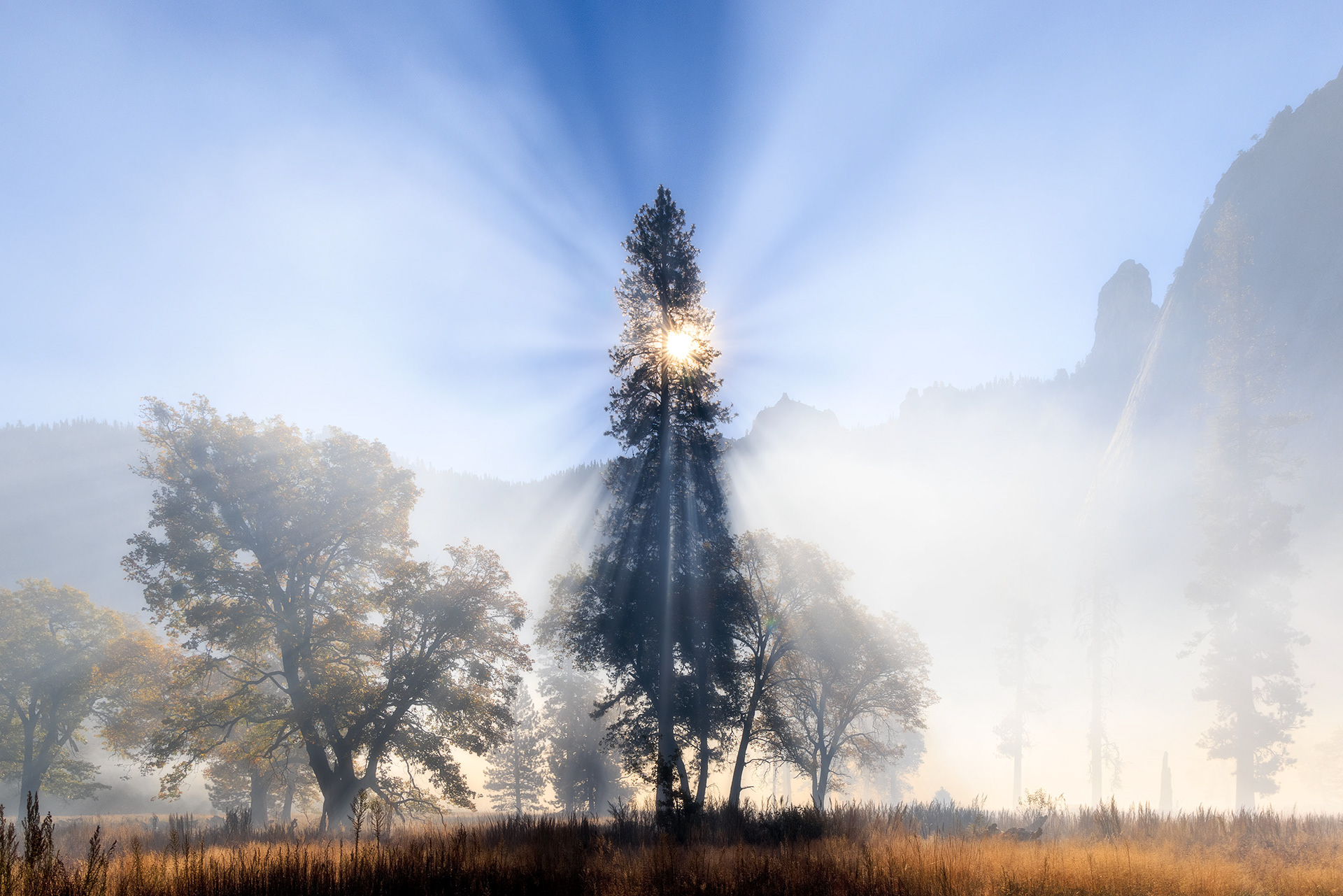 Yosemite National Park