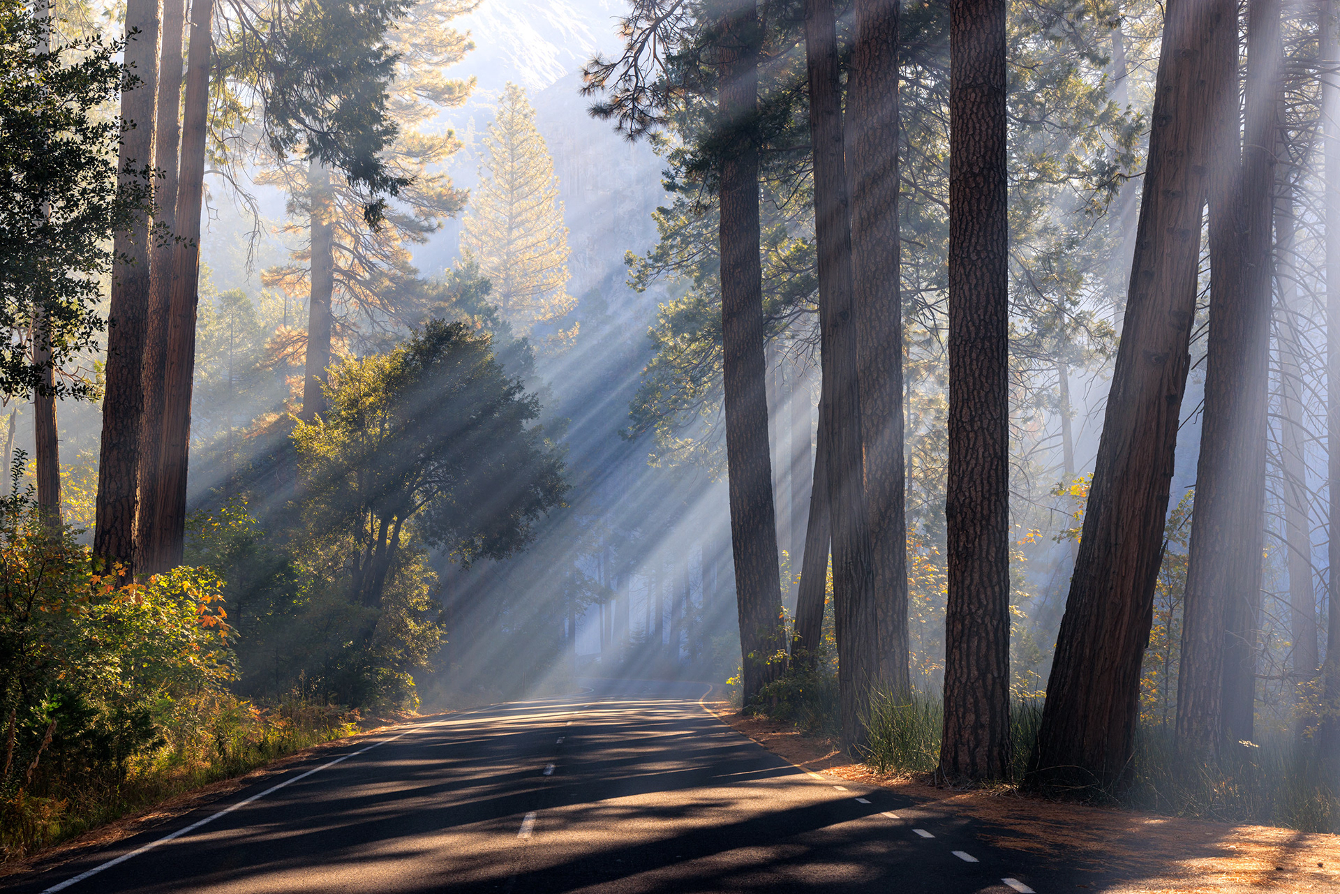 Yosemite National Park