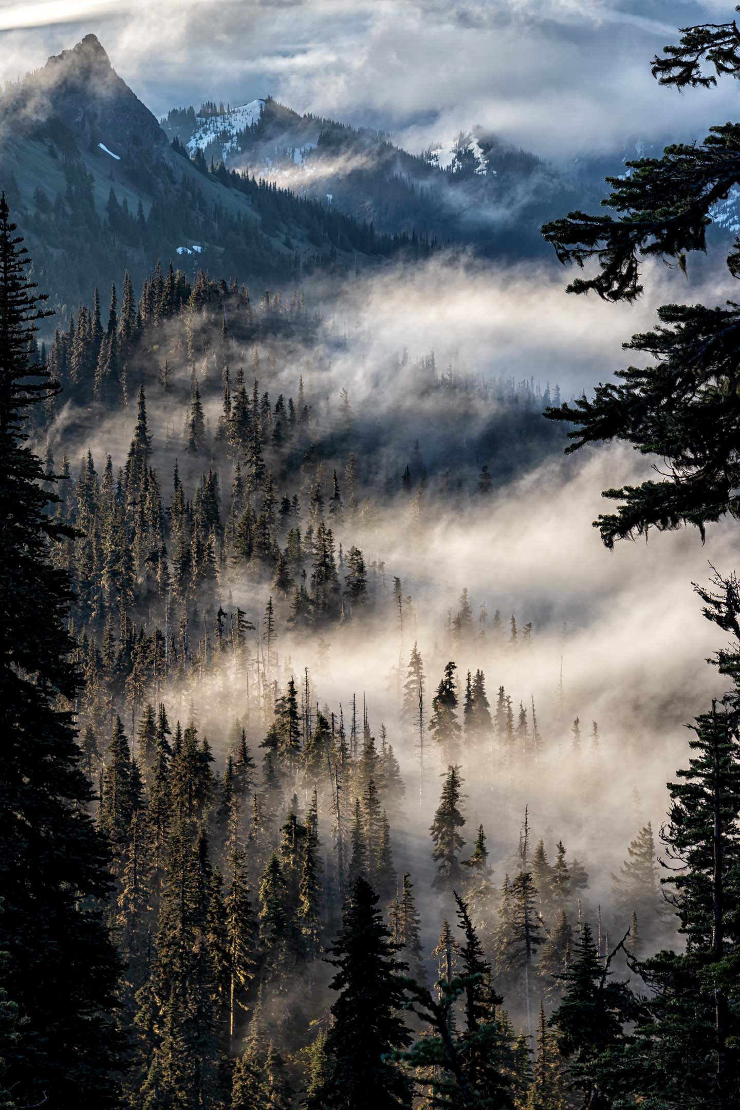 Hurricane Ridge, Olympic National Park