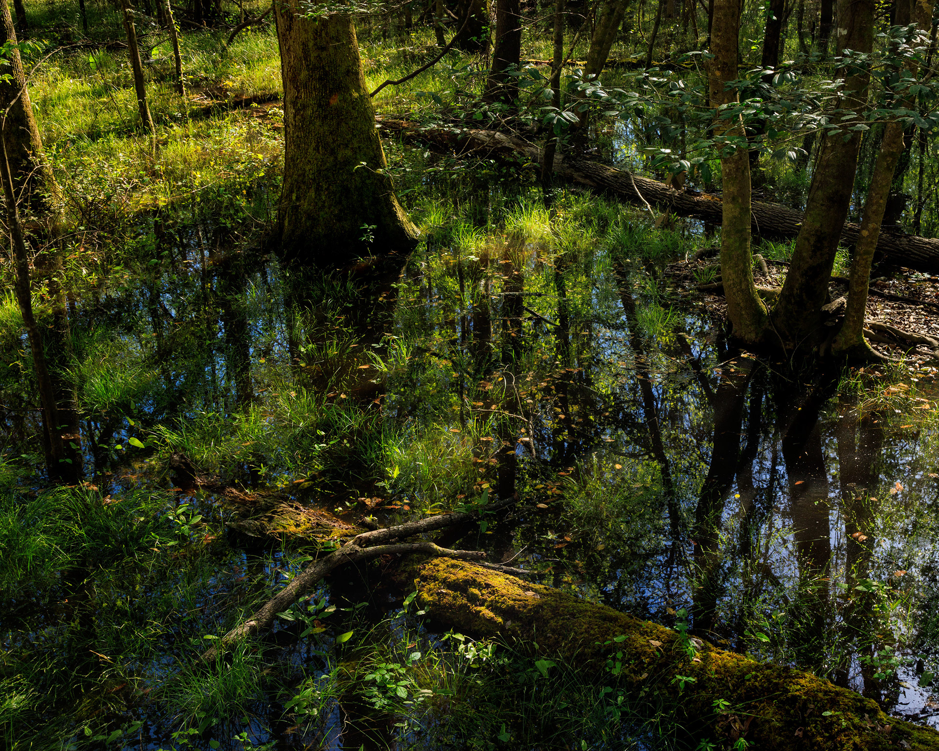 Conagree National Park