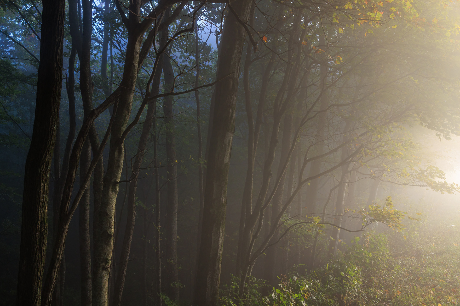 Blue Ridge Parkway