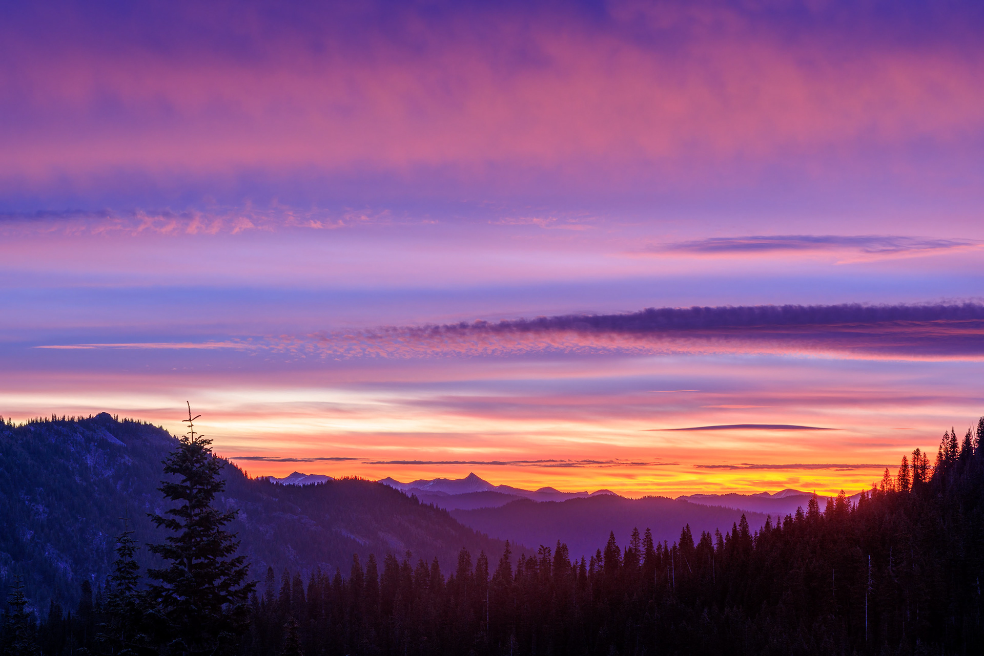 Sunrise at Mount Rainier National Park