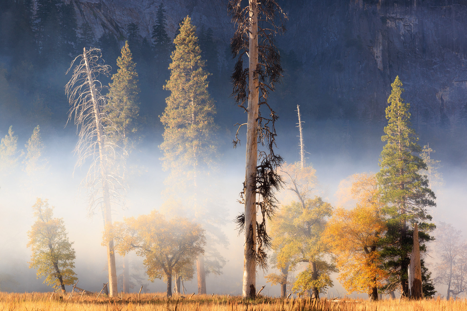 Yosemite National Park
