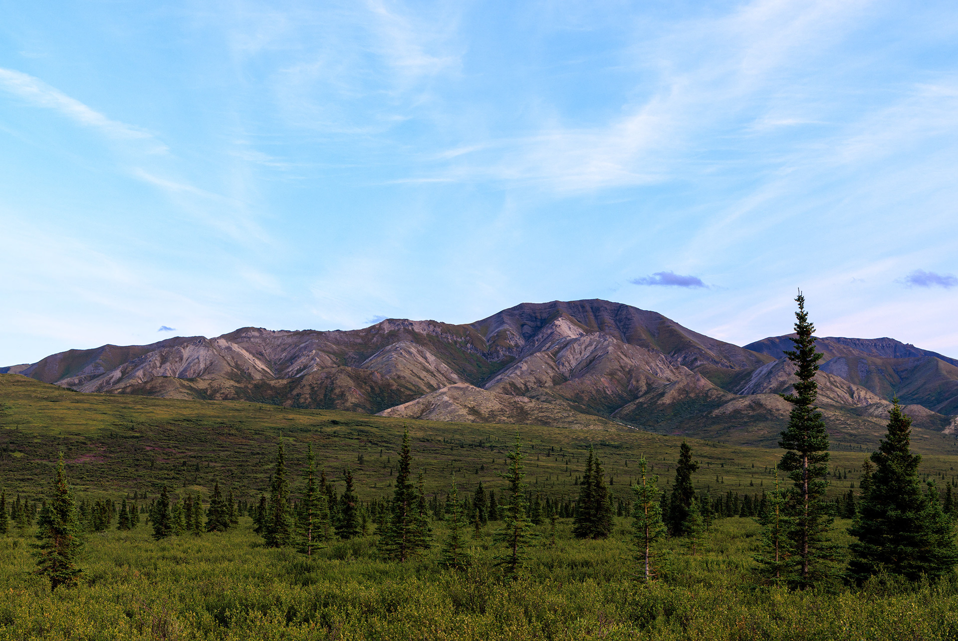 Denali National Park