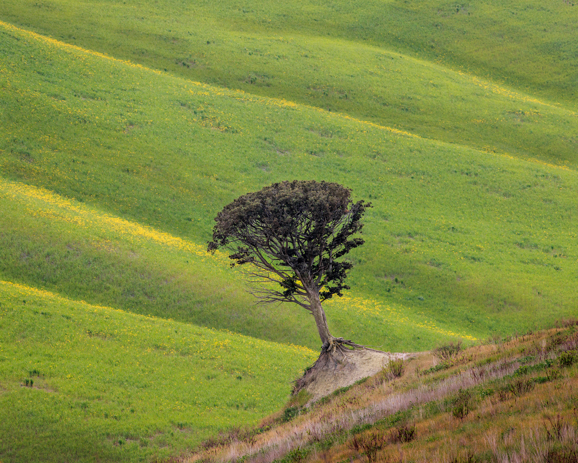 Outside of Volterra, Italy