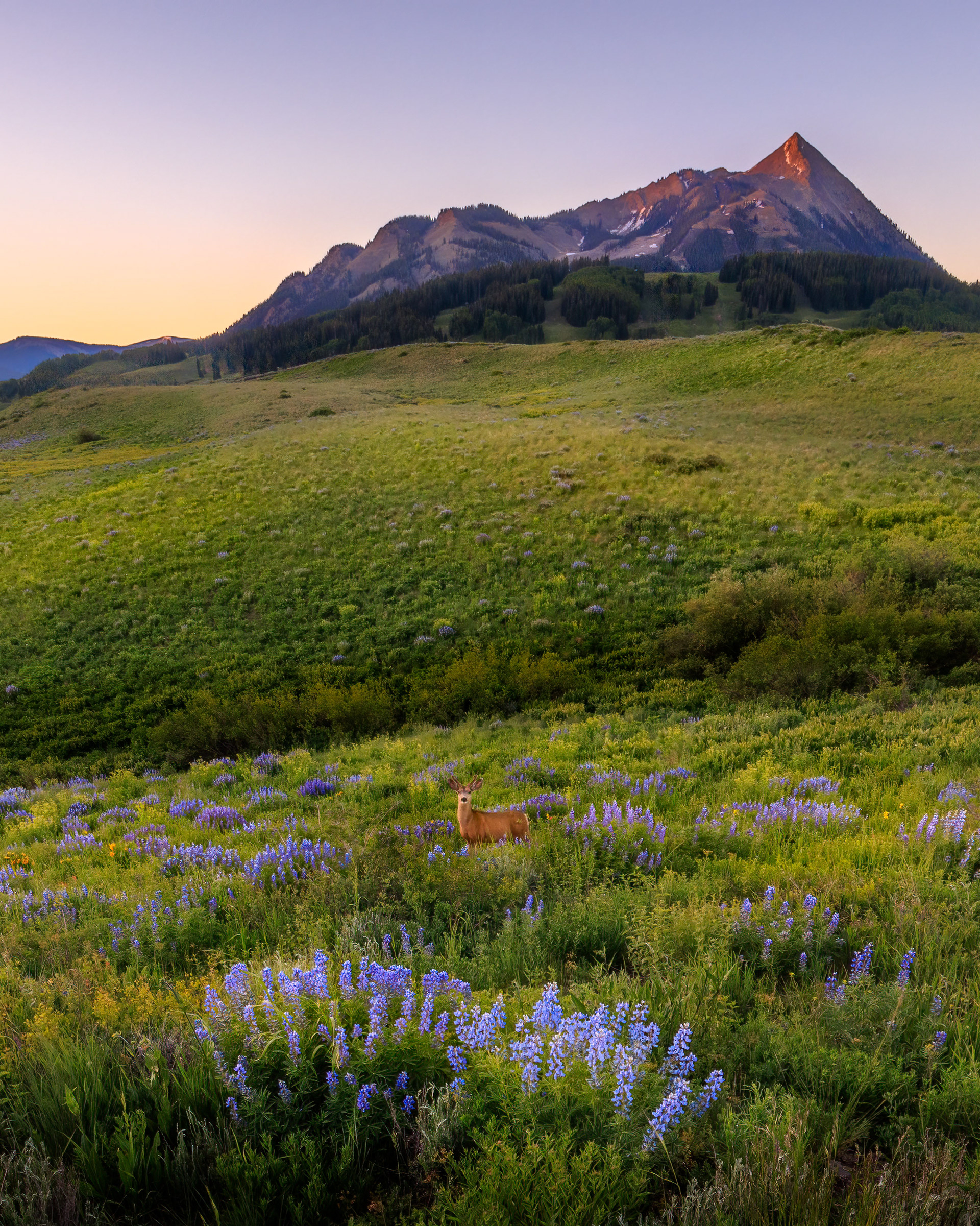 Crested Butte, CO