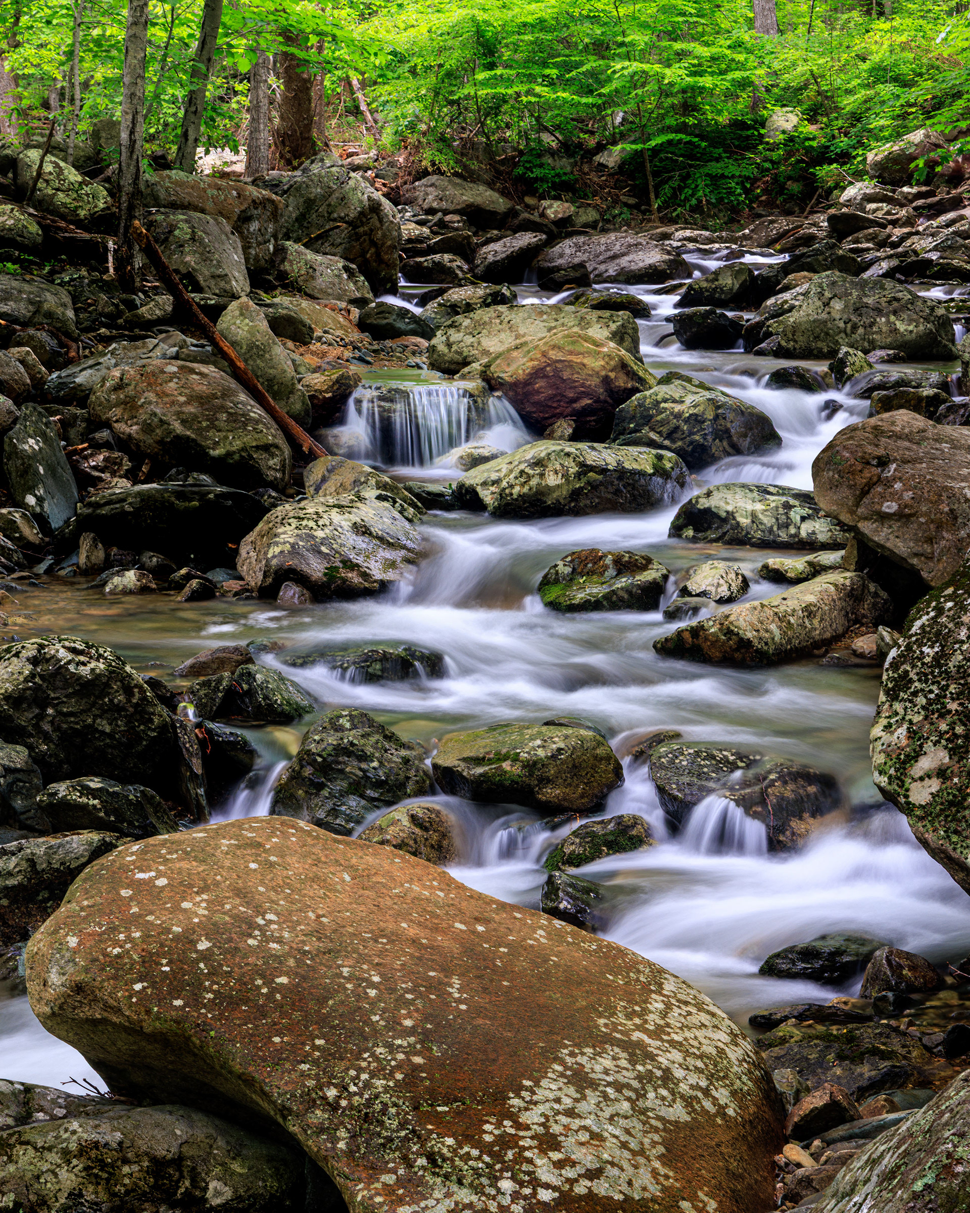 Cascades in Whiteoak Canyon