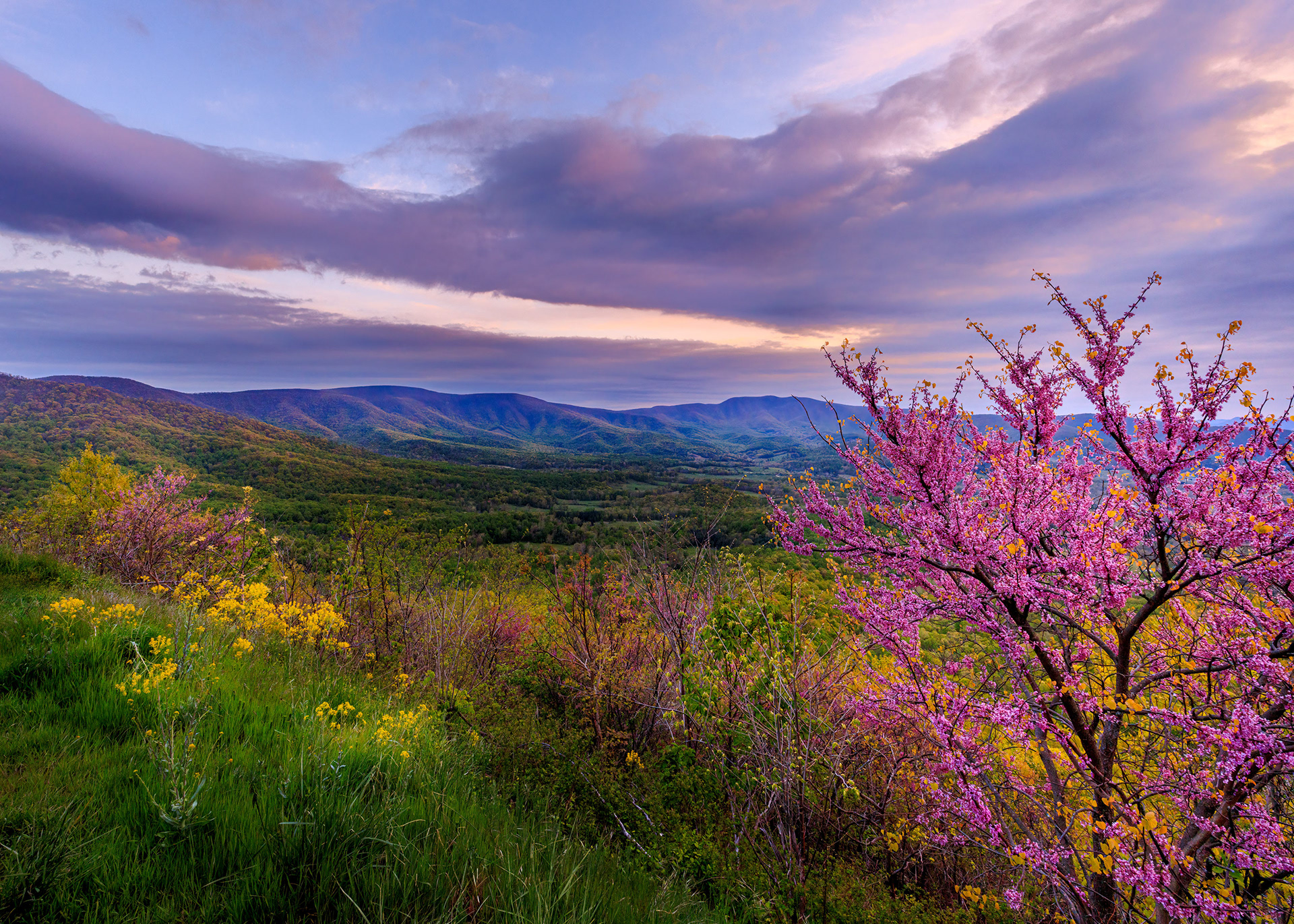 Spring Sunset at Gooney Manor Overlook